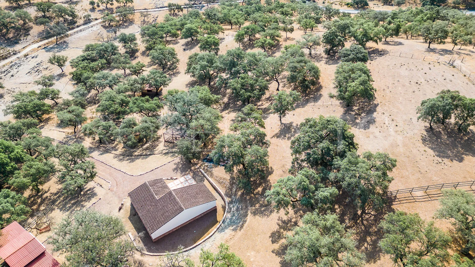 Corteconcepcion, finca en venta