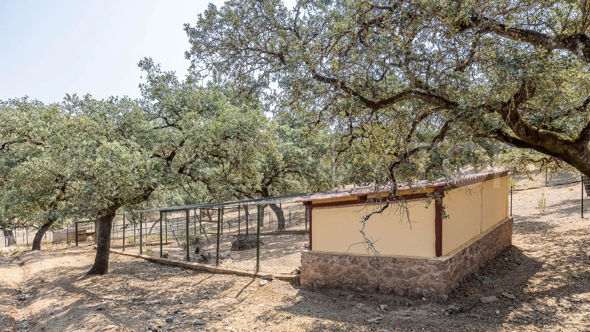 Corteconcepcion, finca en venta