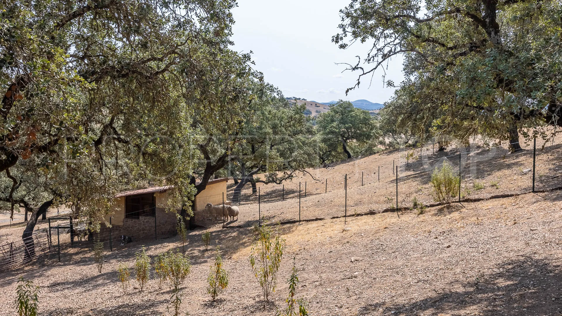 Corteconcepcion, finca en venta