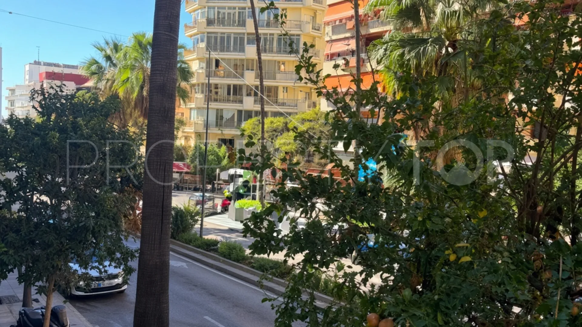 1 bedroom apartment in Ricardo Soriano for sale