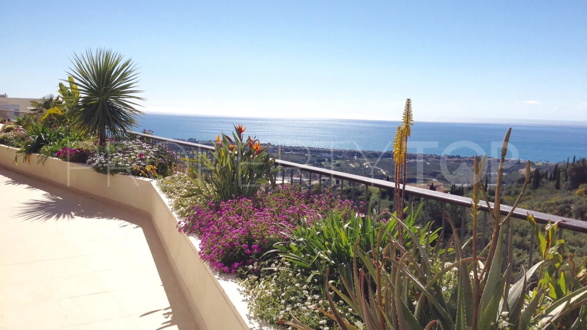 Buy apartment in Los Altos de los Monteros