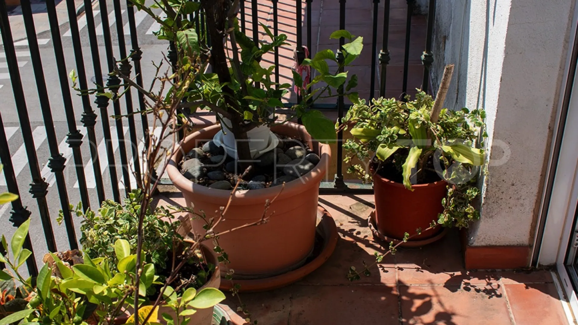 San Pedro de Alcantara, atico duplex en venta