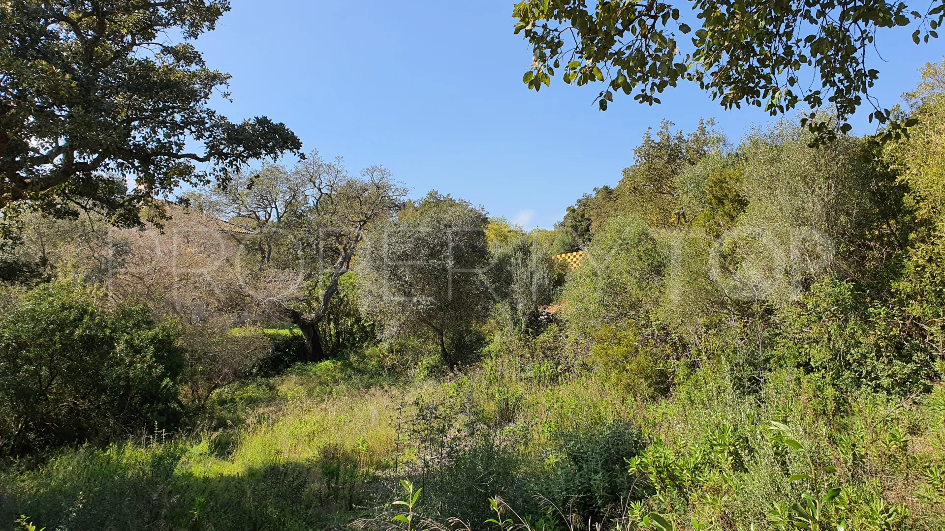 Parcela a la venta en Sotogrande