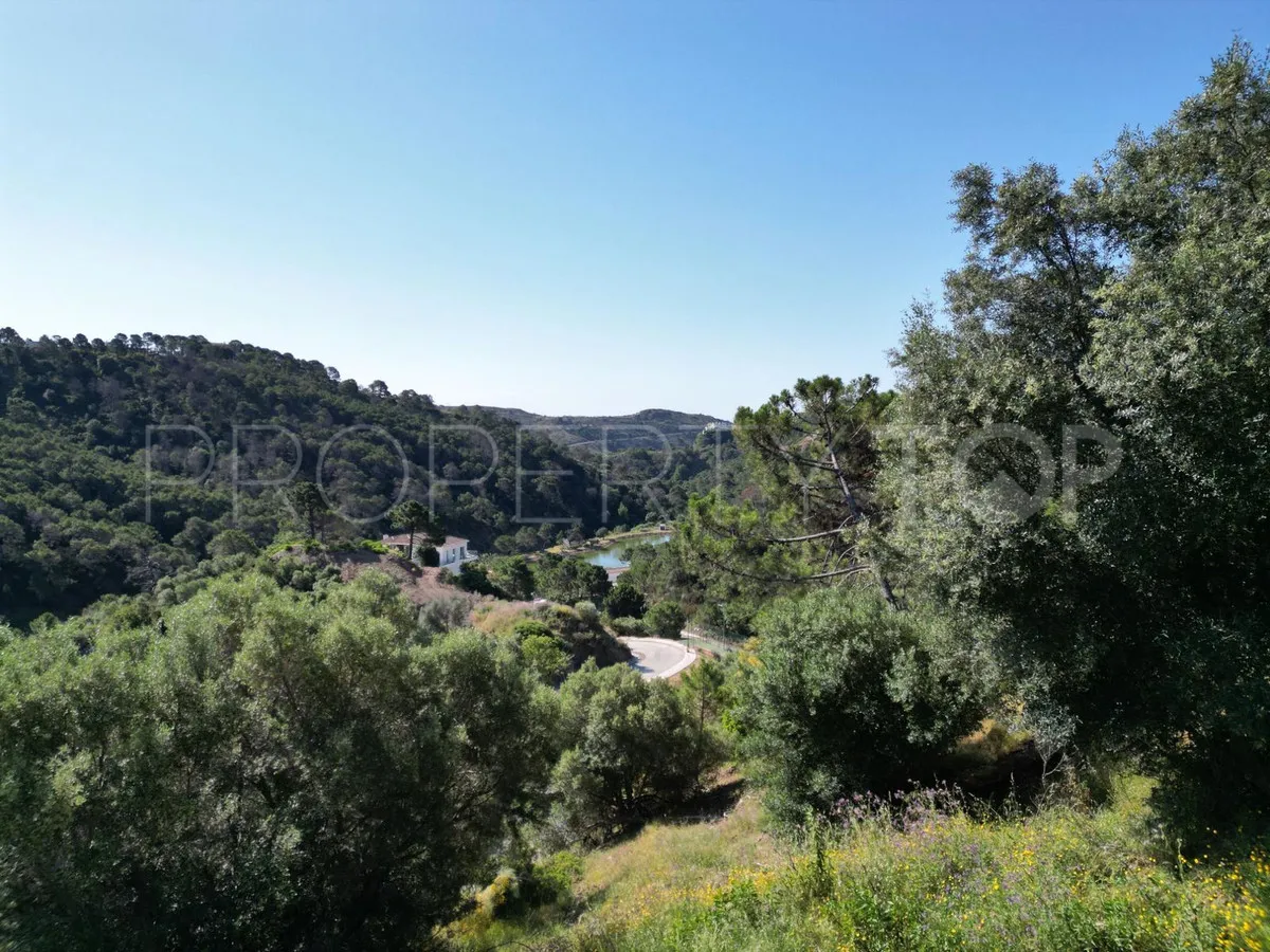 Plot for sale in Monte Mayor