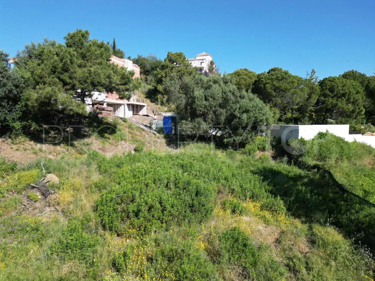 Plot for sale in Monte Mayor