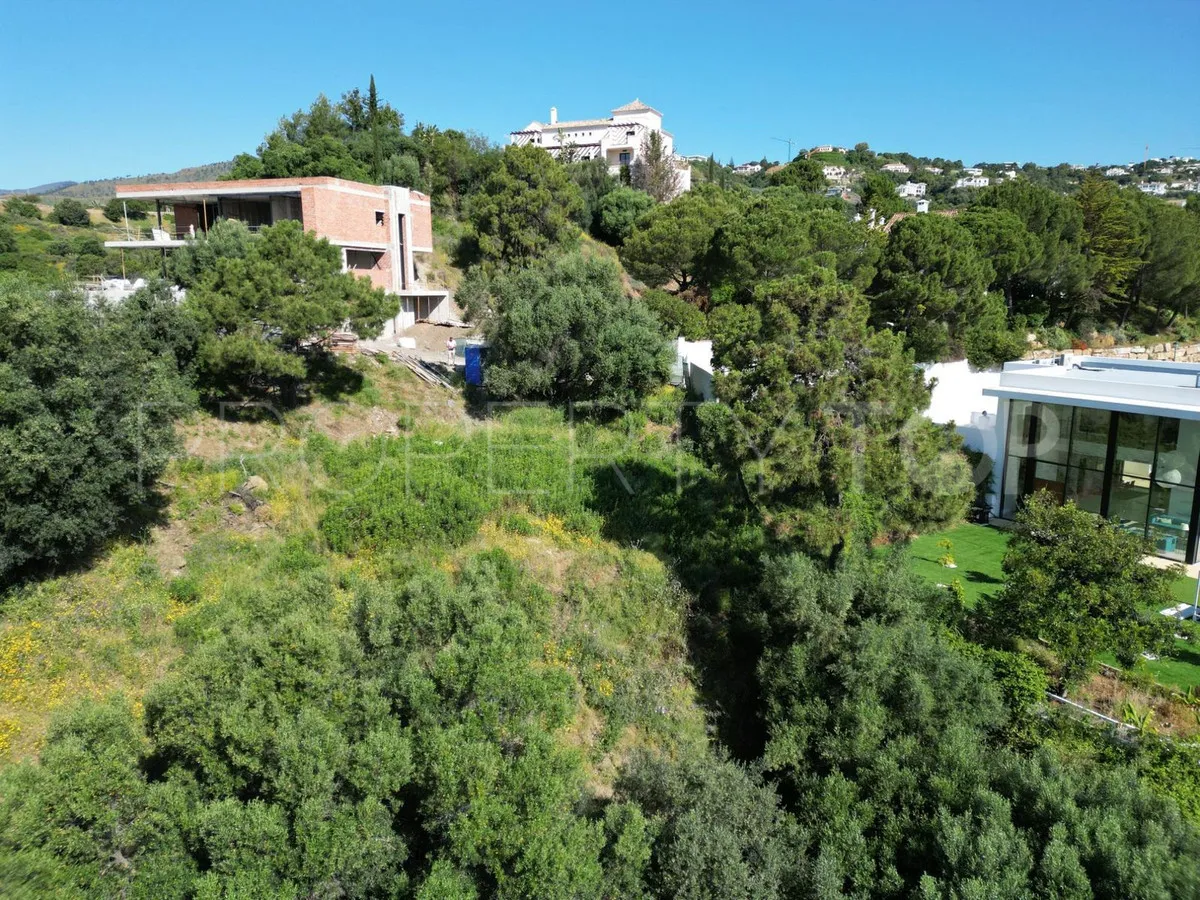 Plot for sale in Monte Mayor