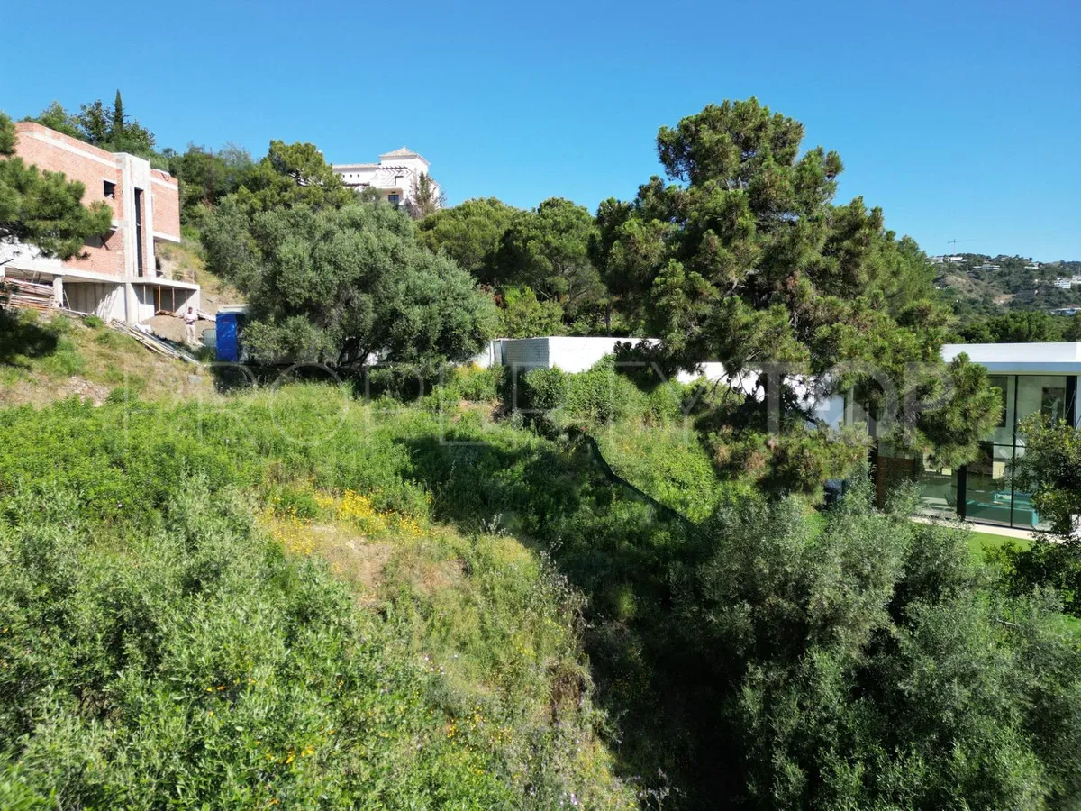 Plot for sale in Monte Mayor