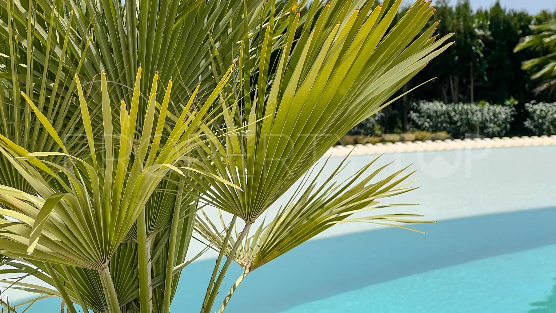 Villa for sale in La Zagaleta