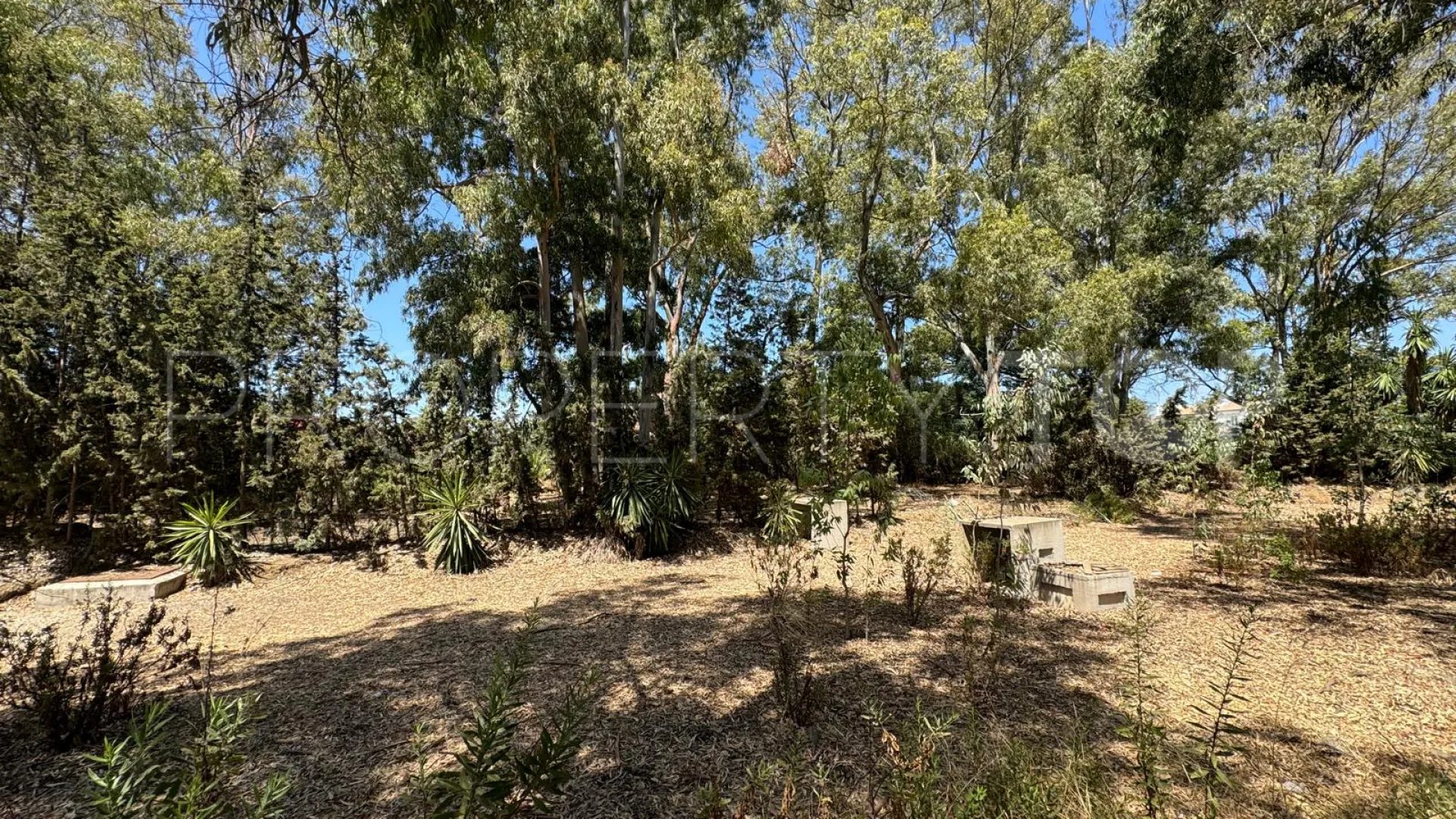 Plot in Paraiso Barronal for sale