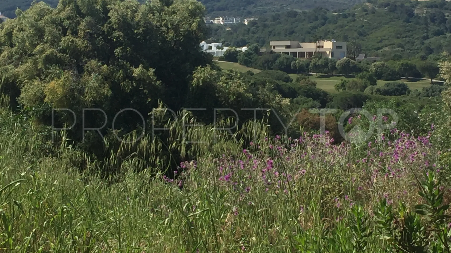 Parcela a la venta en Sotogrande