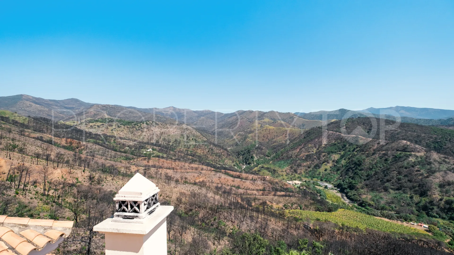 Forest Hills 7 bedrooms finca for sale