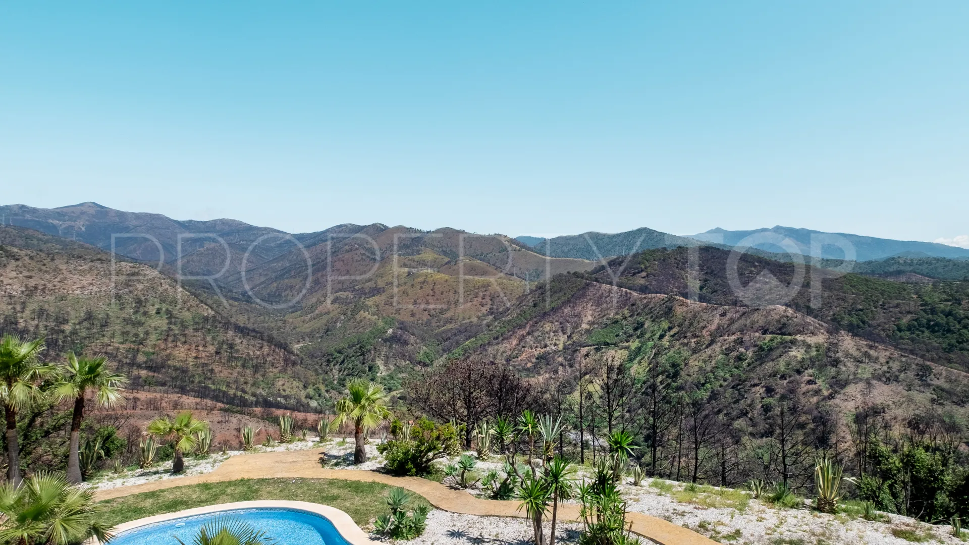 Forest Hills 7 bedrooms finca for sale