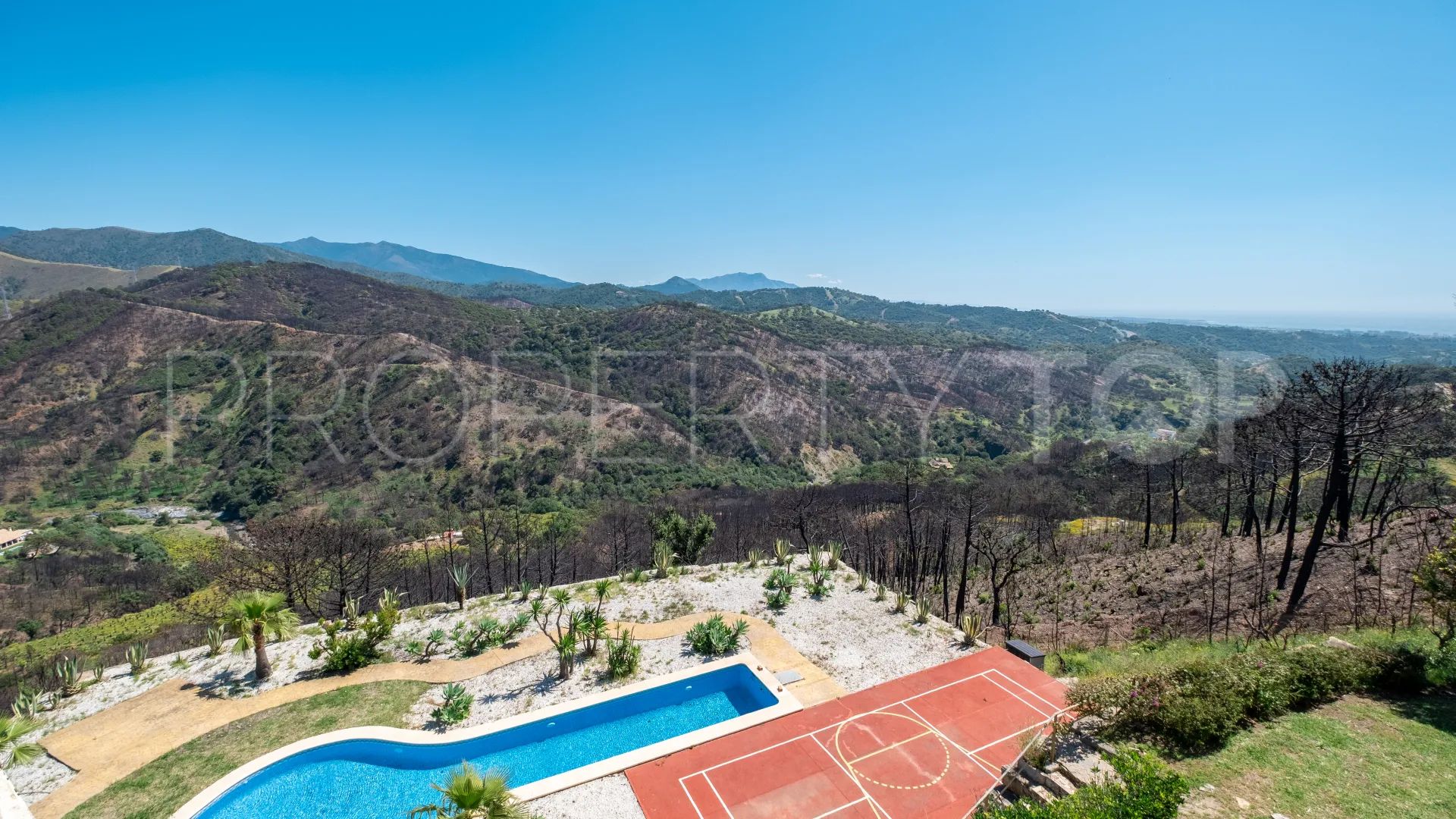 Forest Hills 7 bedrooms finca for sale