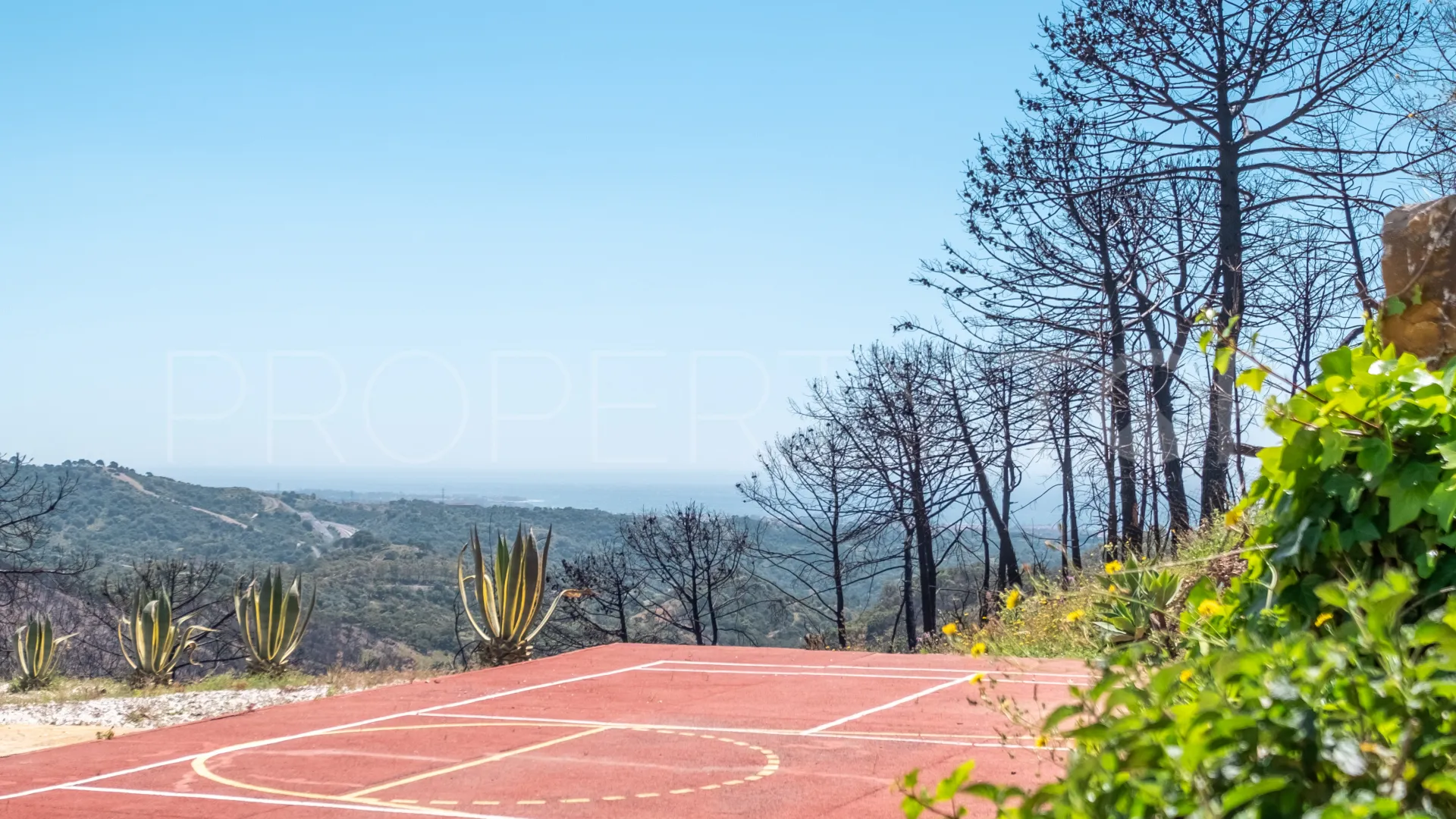 Forest Hills 7 bedrooms finca for sale