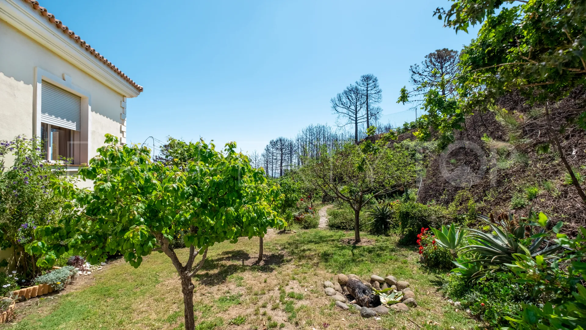 Forest Hills 7 bedrooms finca for sale