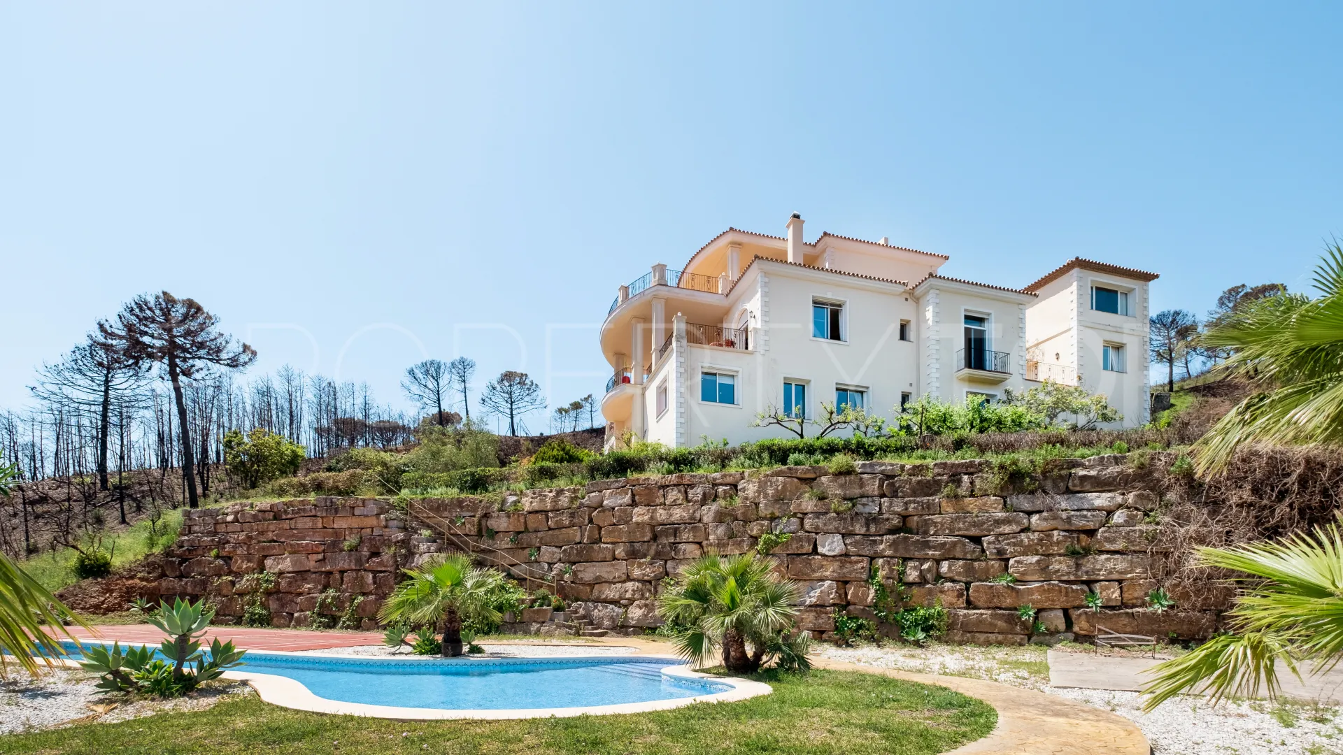 Forest Hills 7 bedrooms finca for sale
