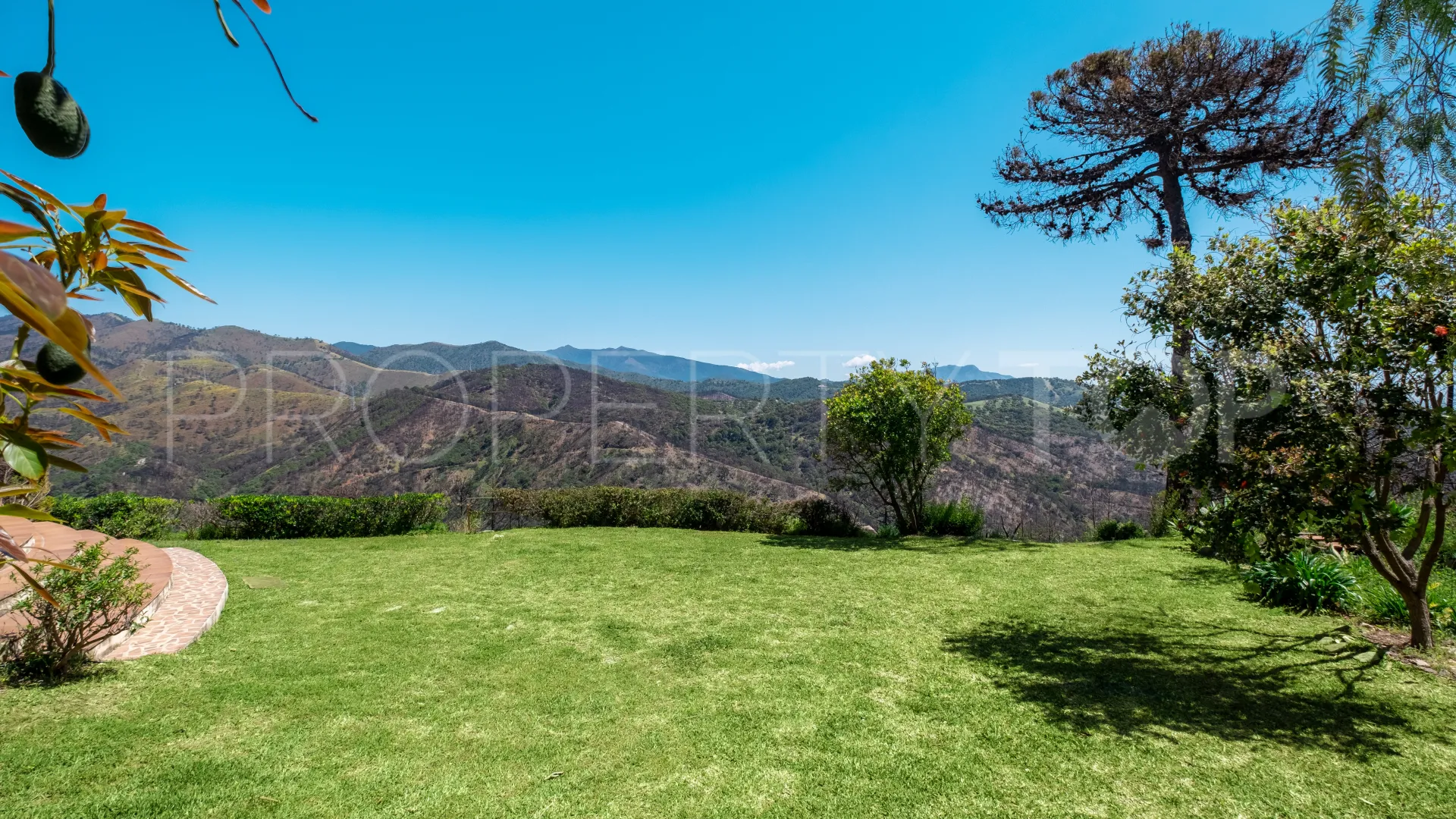 Forest Hills 7 bedrooms finca for sale