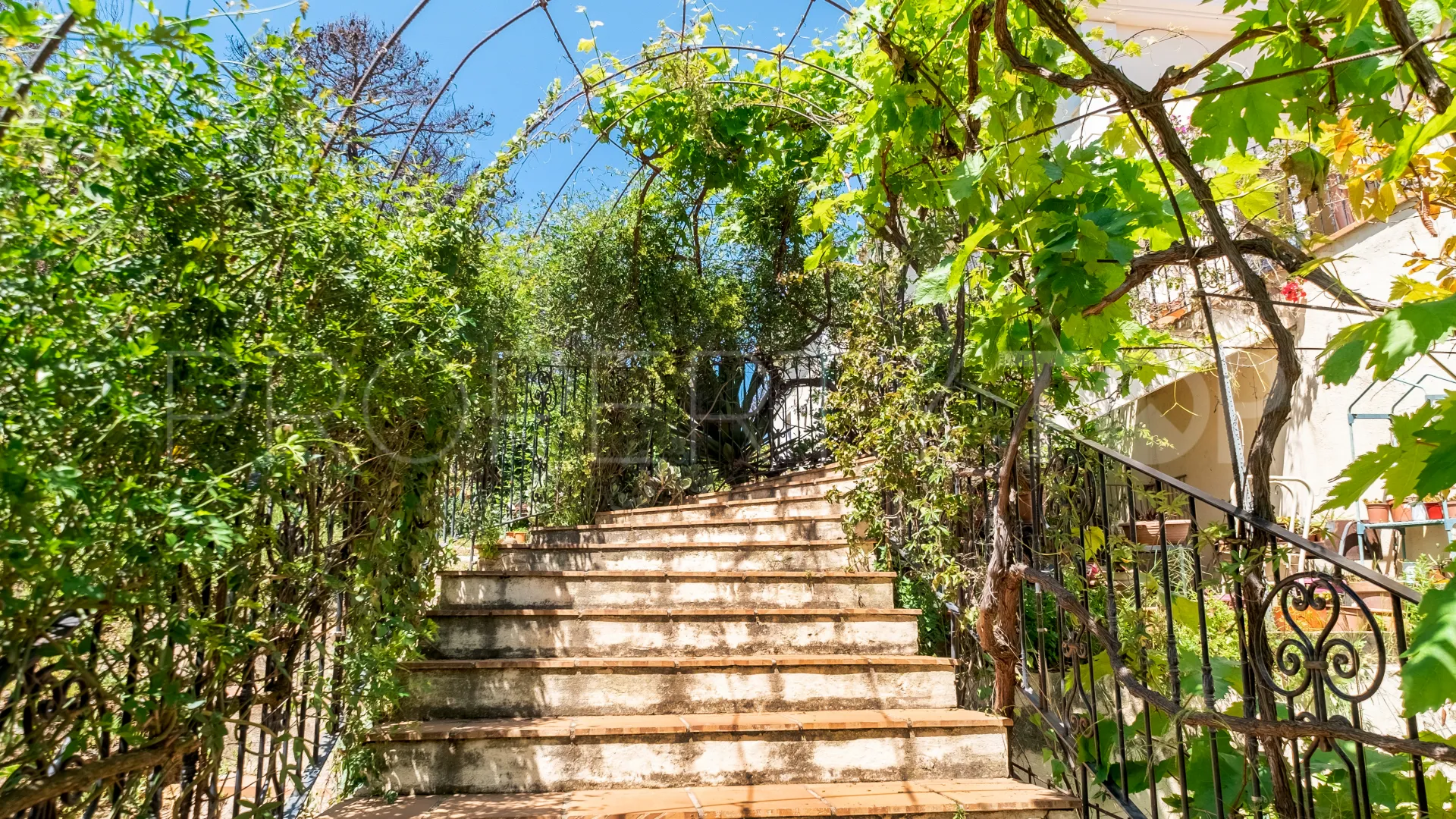 Forest Hills 7 bedrooms finca for sale