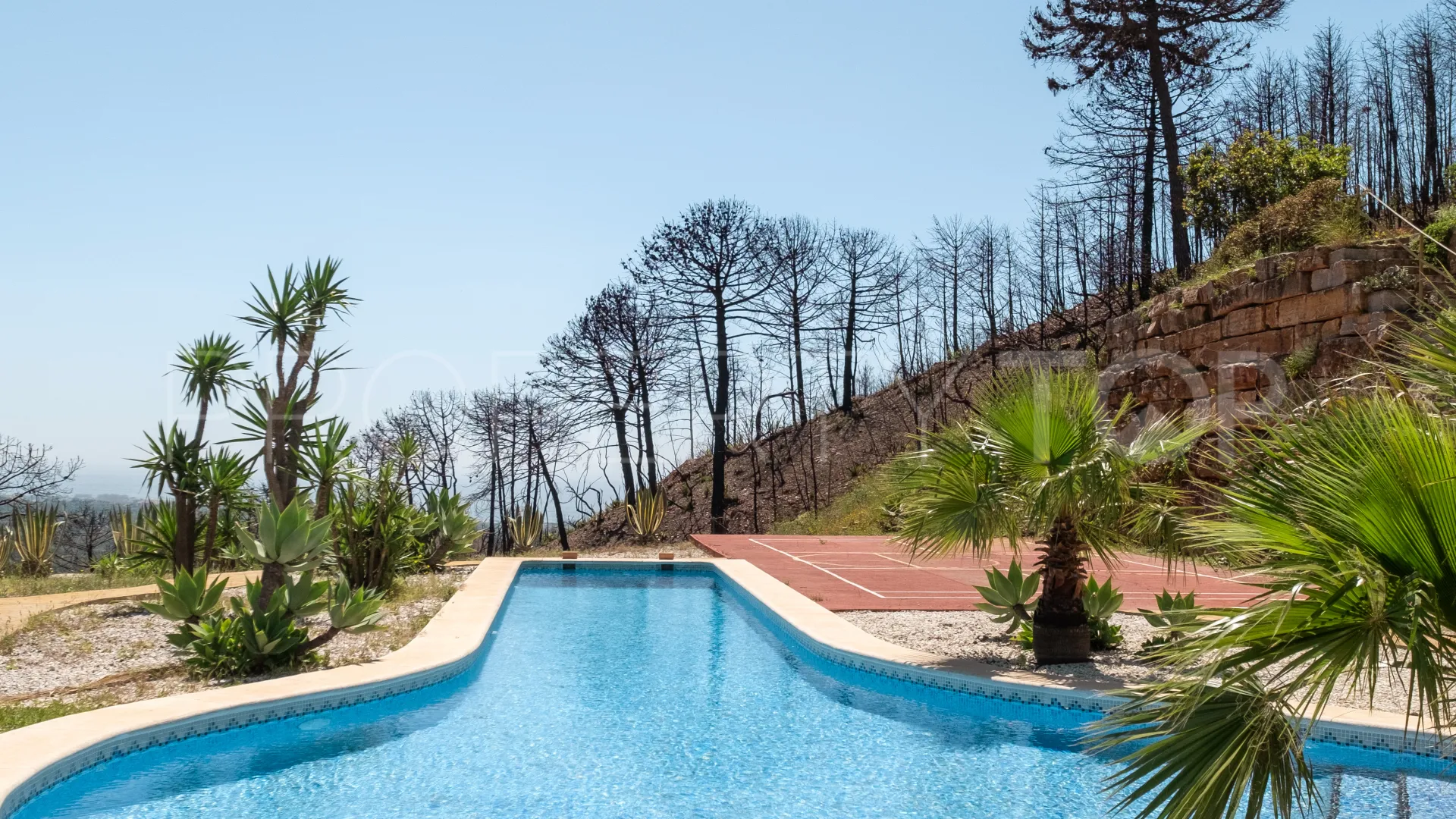 Forest Hills 7 bedrooms finca for sale