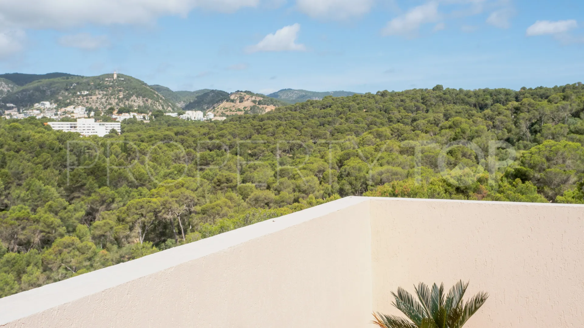 For sale penthouse with 3 bedrooms in El Terreno