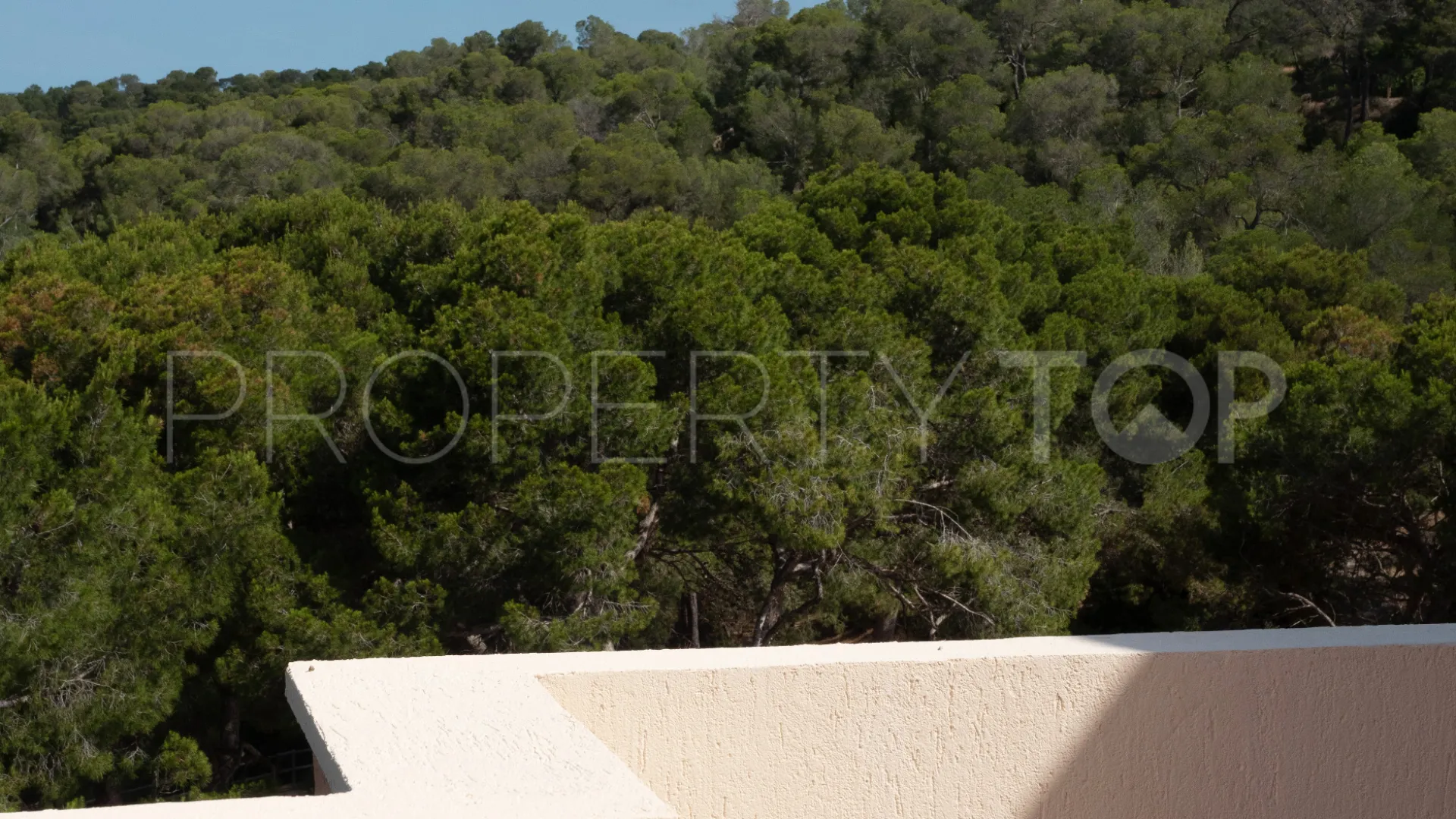 For sale penthouse with 3 bedrooms in El Terreno