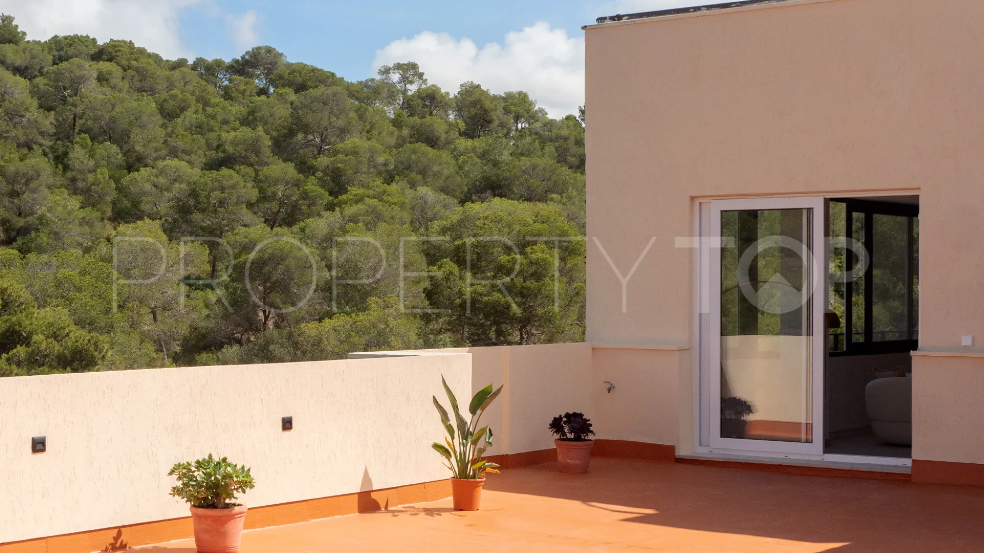For sale penthouse with 3 bedrooms in El Terreno