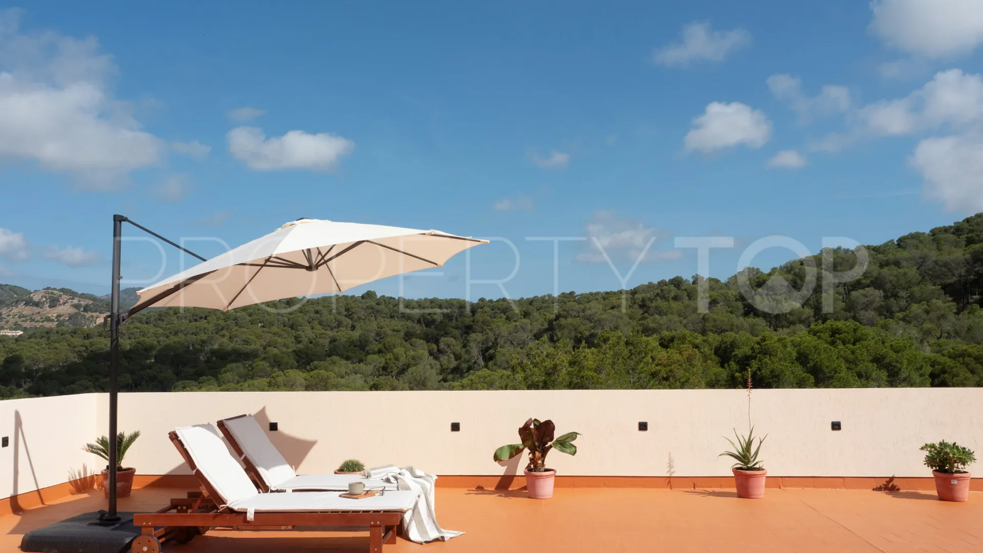 For sale penthouse with 3 bedrooms in El Terreno