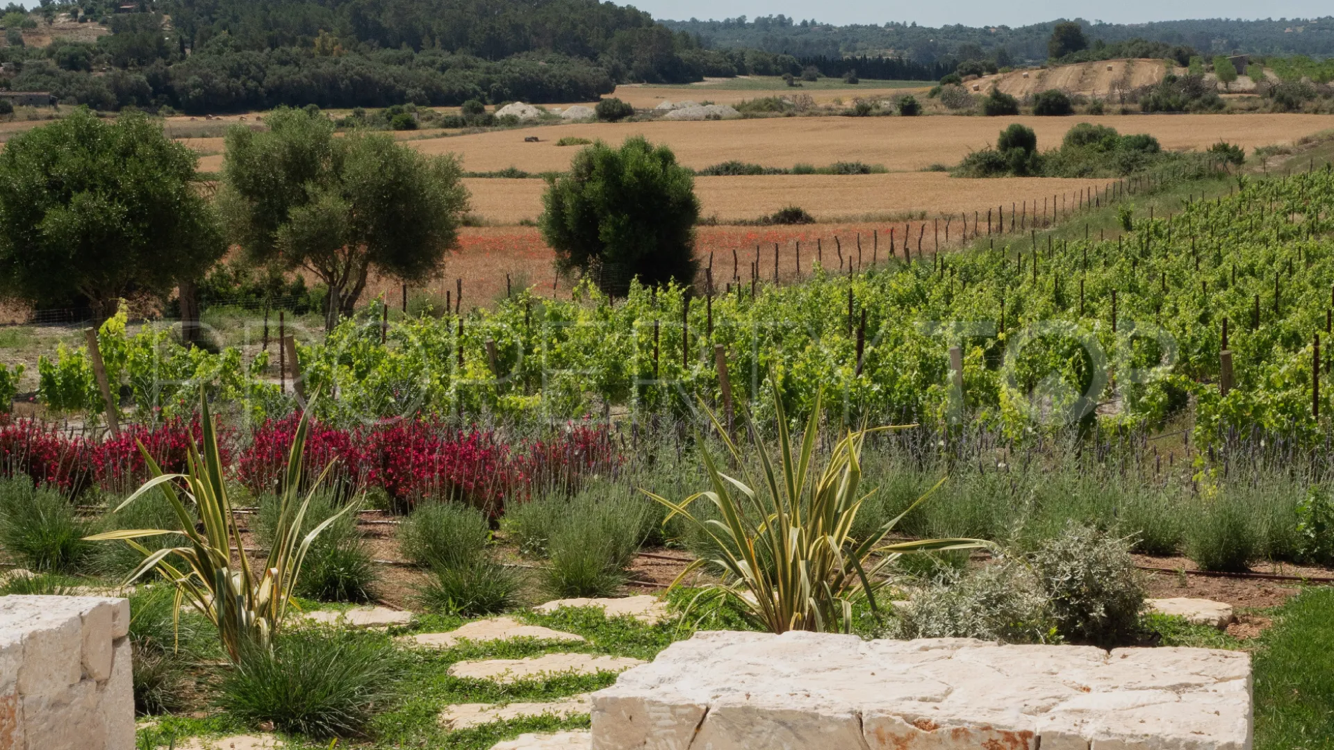 For sale Montuïri finca with 5 bedrooms