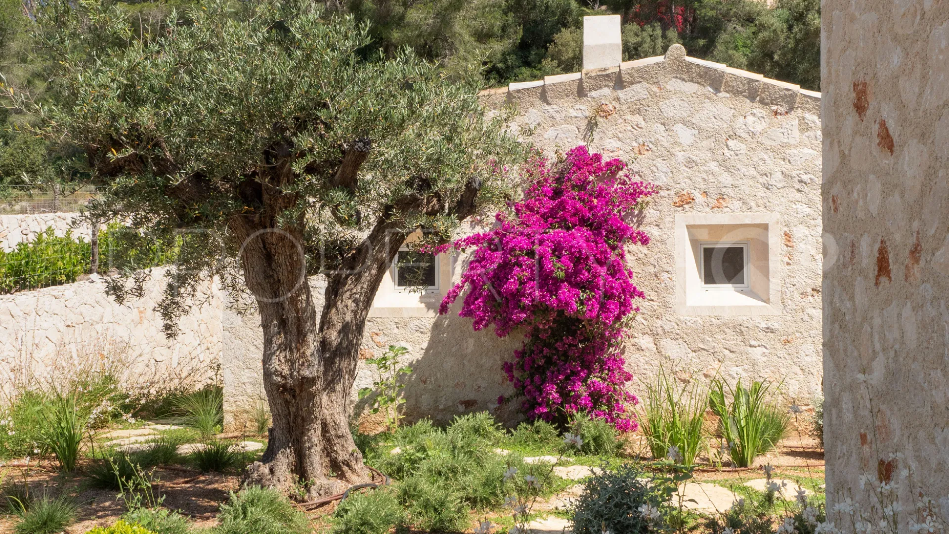 For sale Montuïri finca with 5 bedrooms