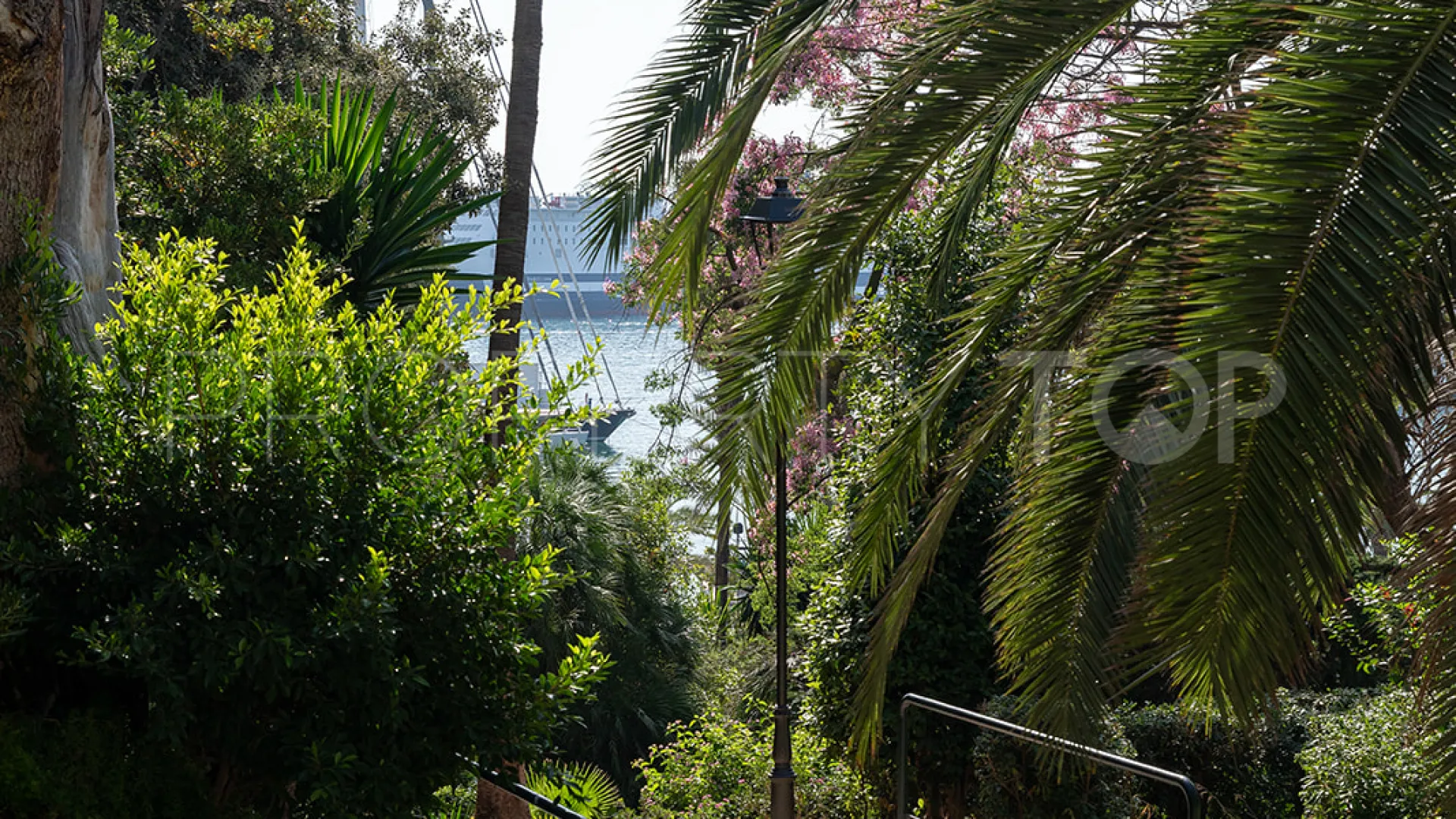 El Terreno 1 bedroom apartment for sale