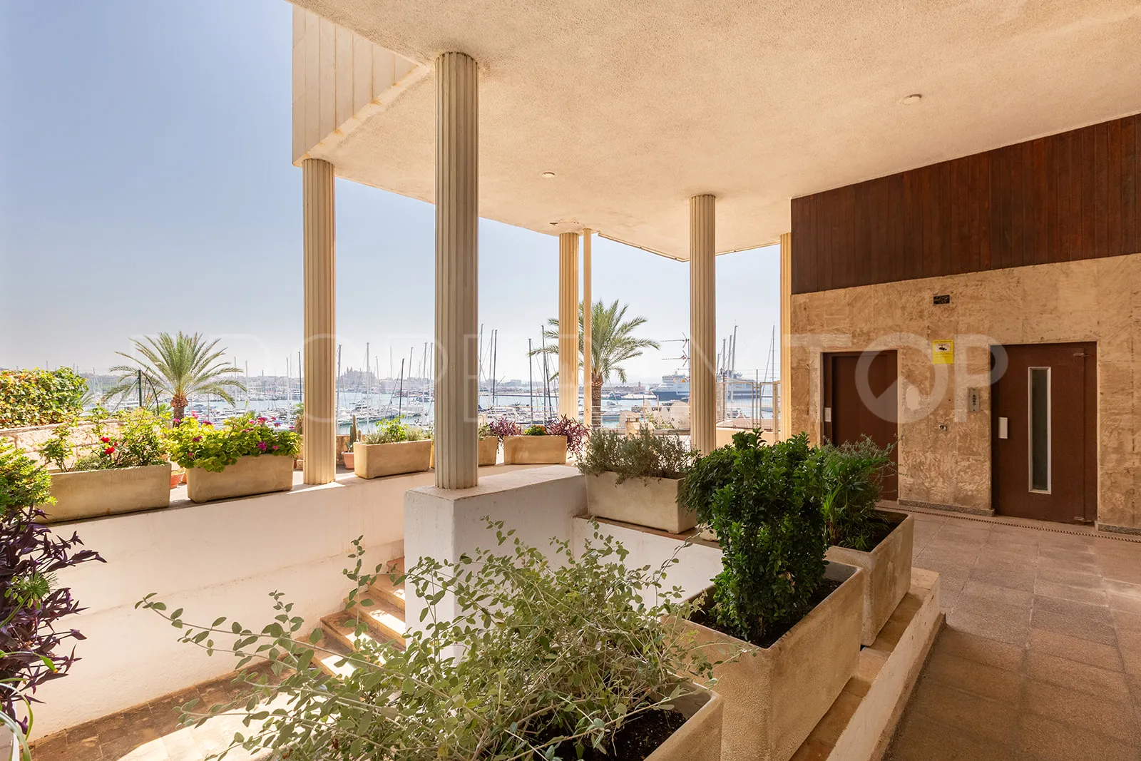 El Terreno 1 bedroom apartment for sale