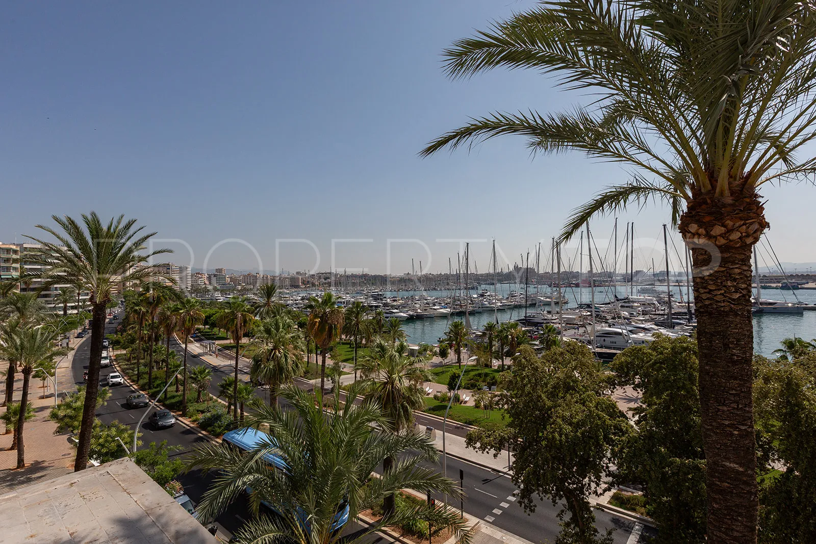 El Terreno 1 bedroom apartment for sale