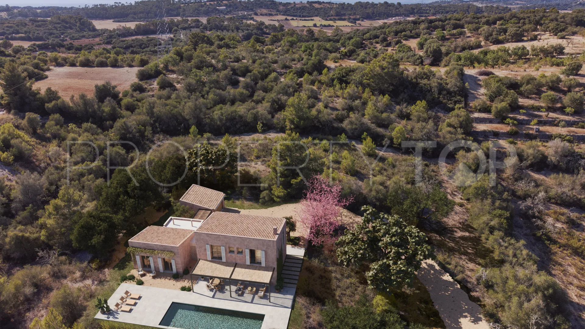 For sale 4 bedrooms country house in Sineu