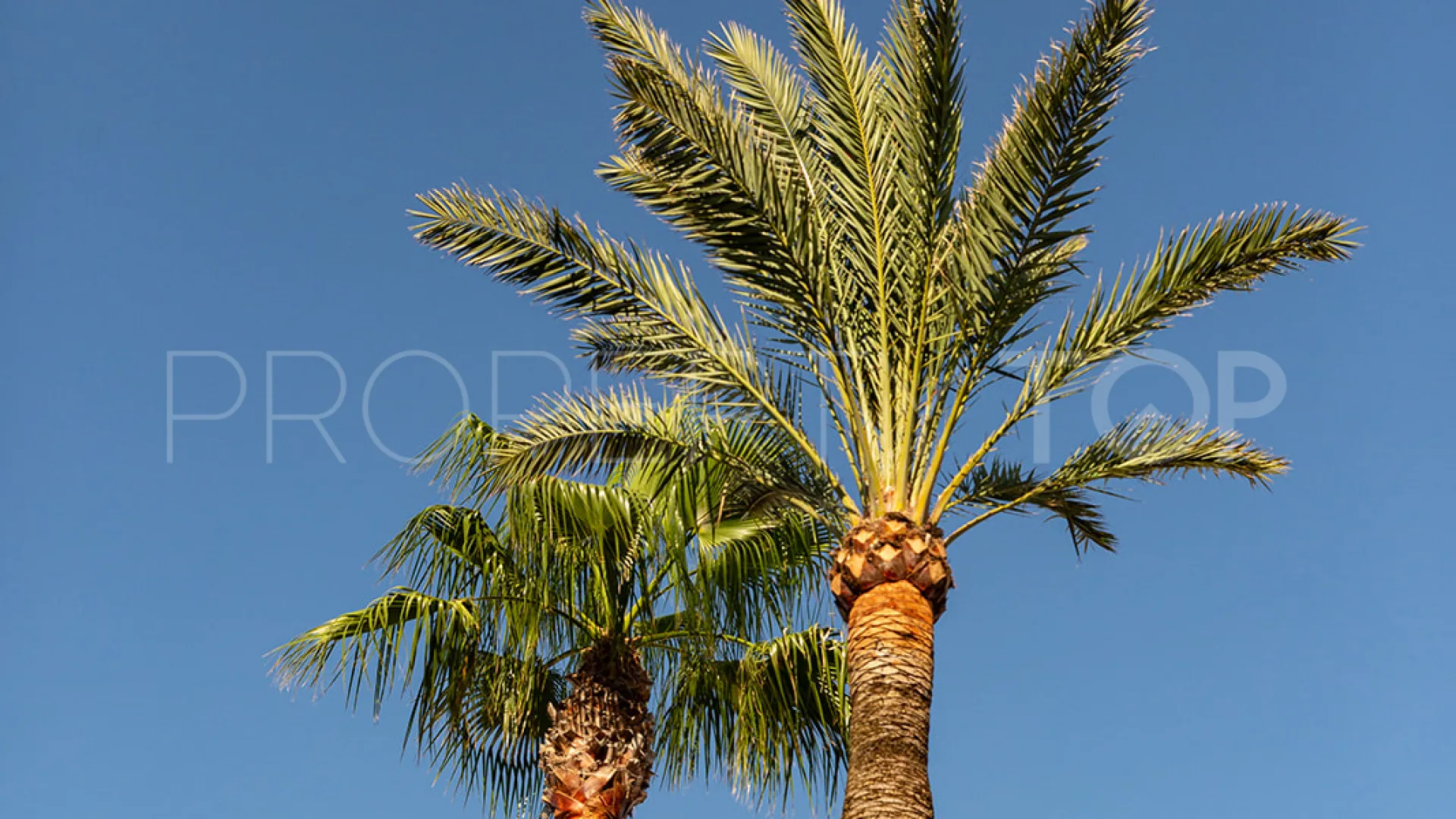 Apartment with 2 bedrooms for sale in Palmanova