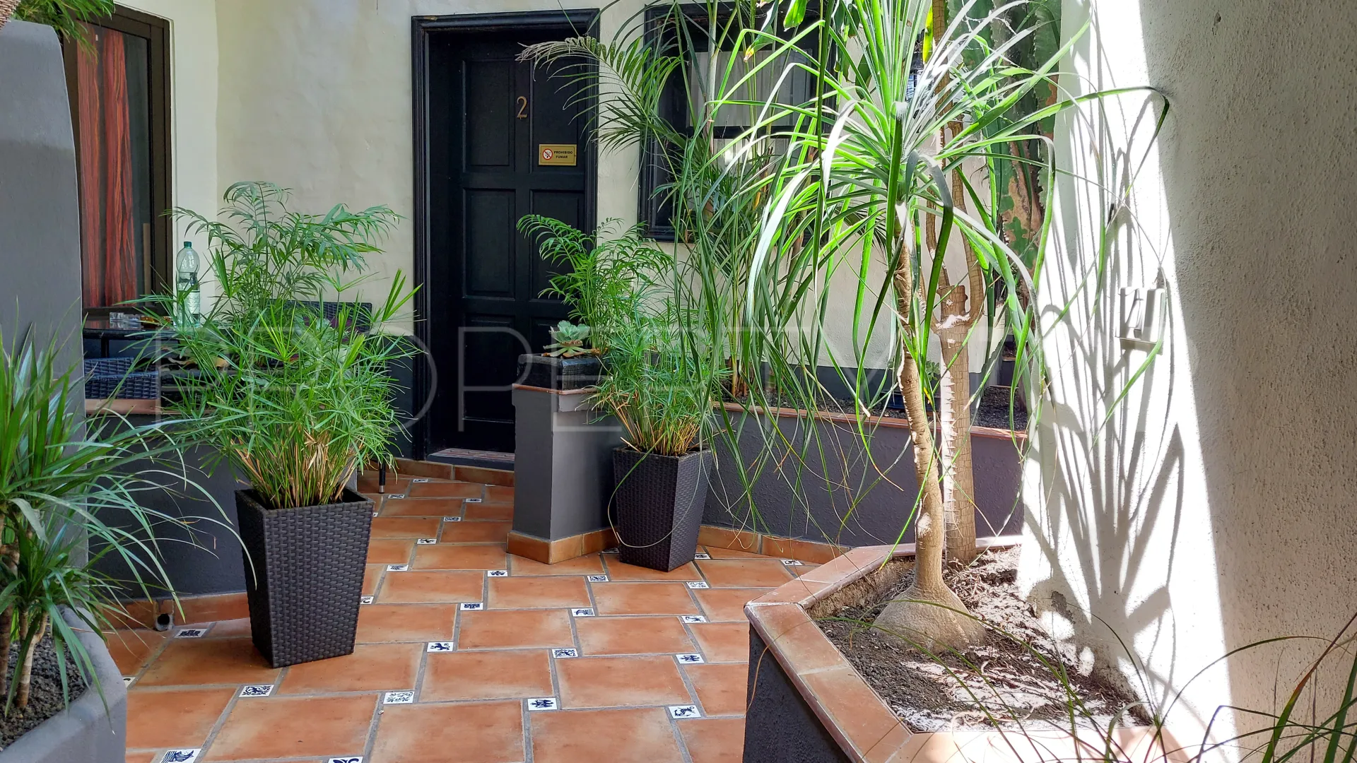 La Vega-El Amparo-Cueva del Viento, hotel en venta