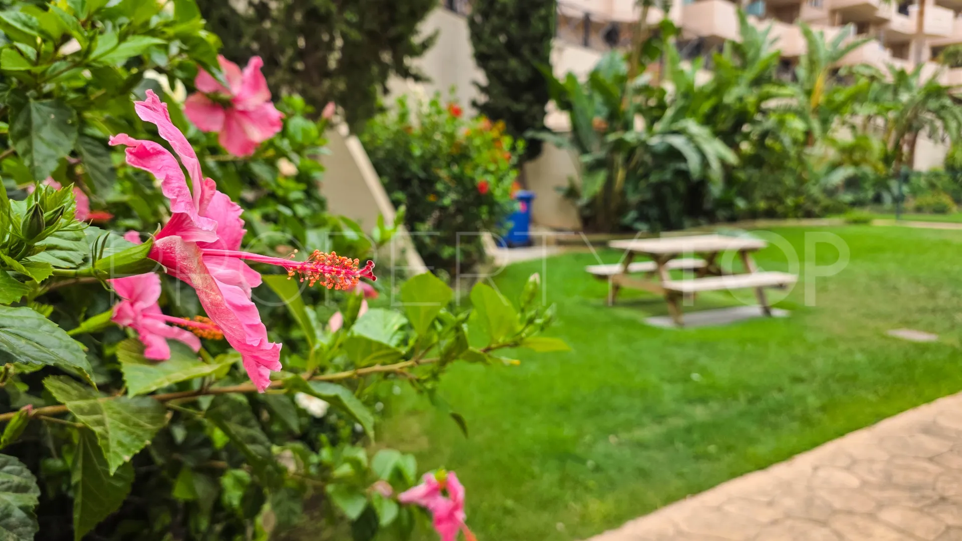 Se vende apartamento planta baja con 2 dormitorios en La Duquesa