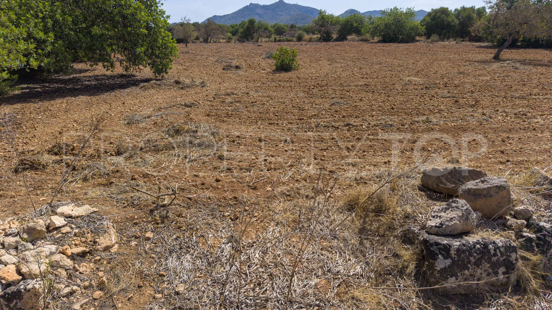 For sale Felanitx plot