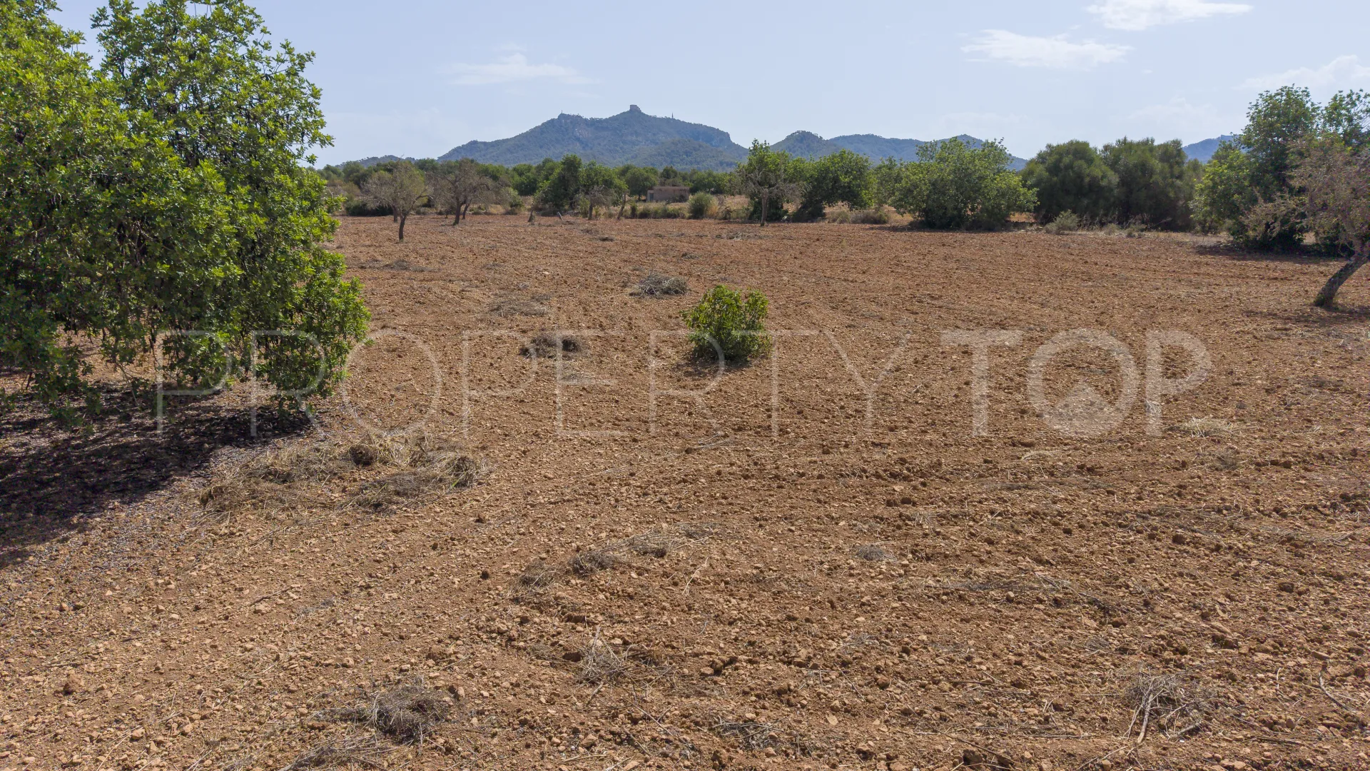 For sale Felanitx plot