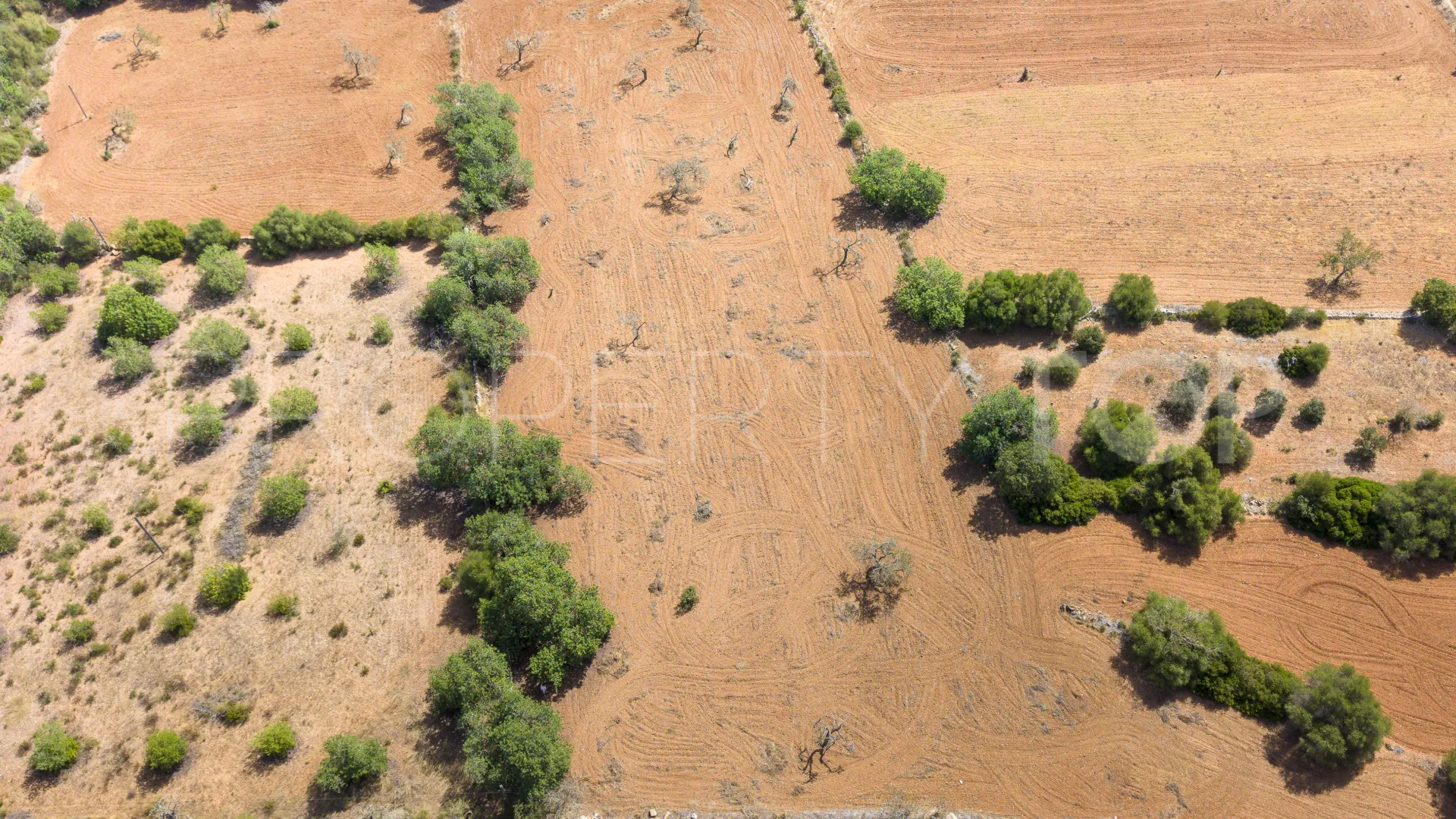 For sale Felanitx plot