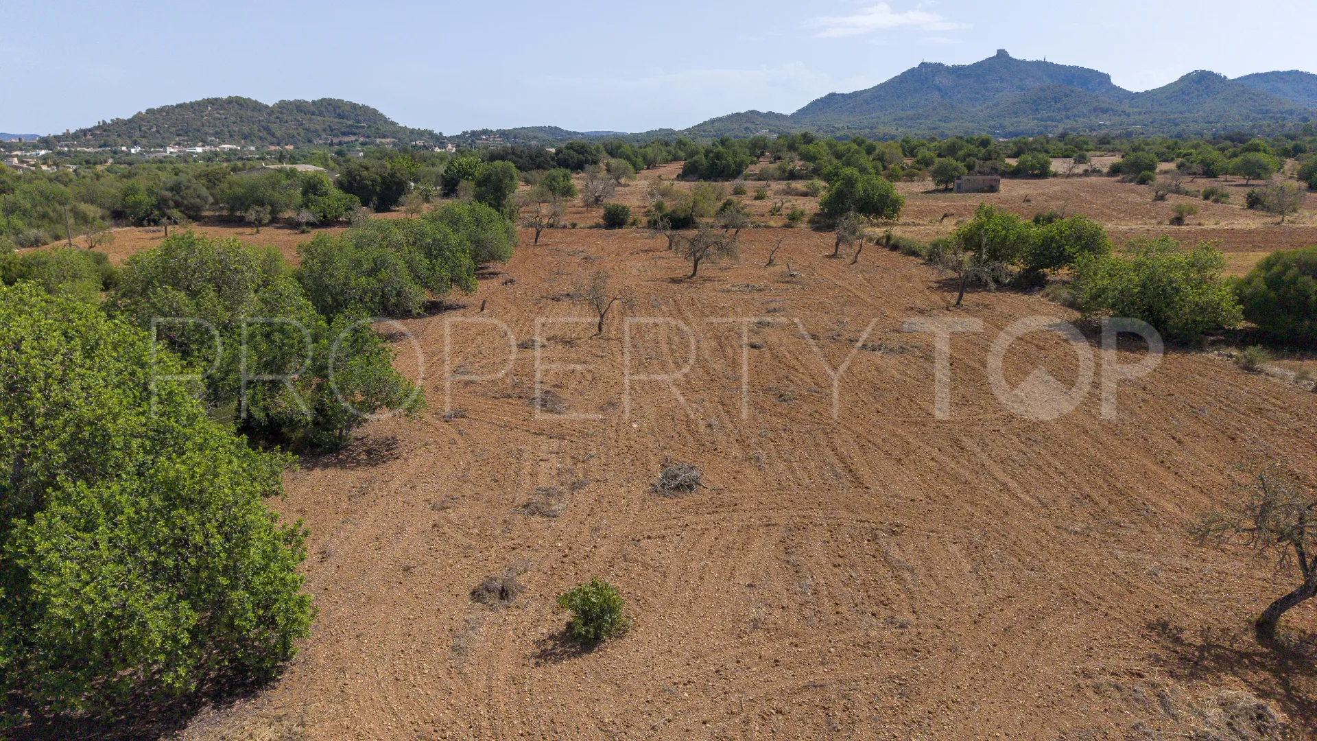 For sale Felanitx plot