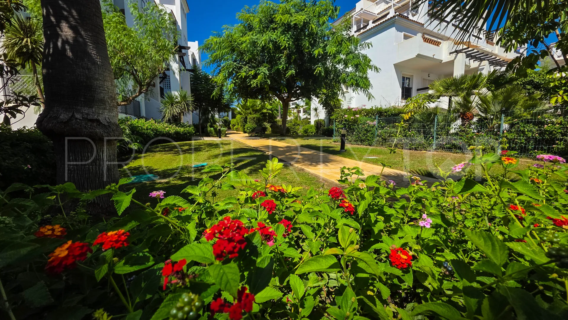 Buy penthouse with 2 bedrooms in Sabinillas