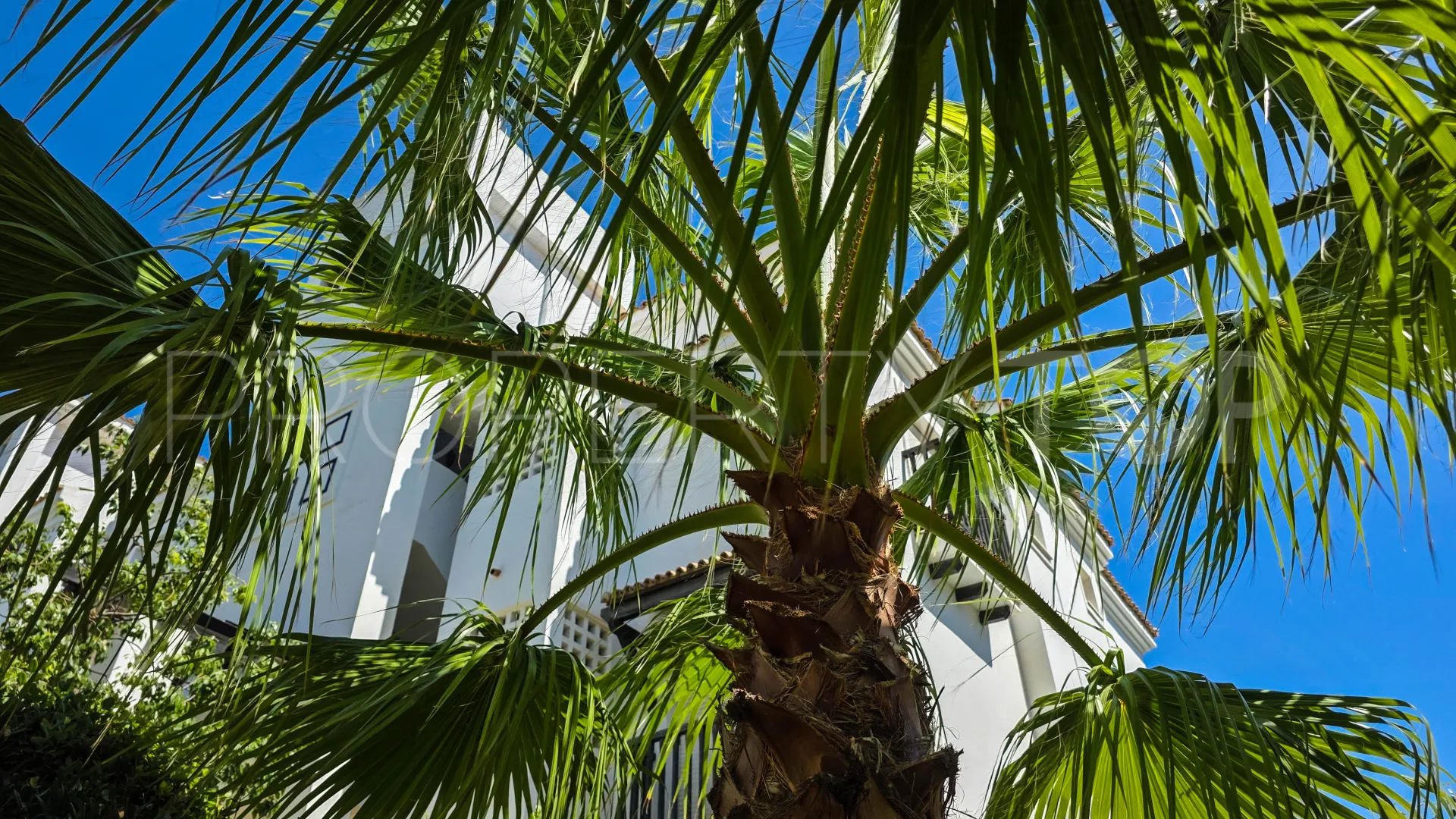 Buy penthouse with 2 bedrooms in Sabinillas
