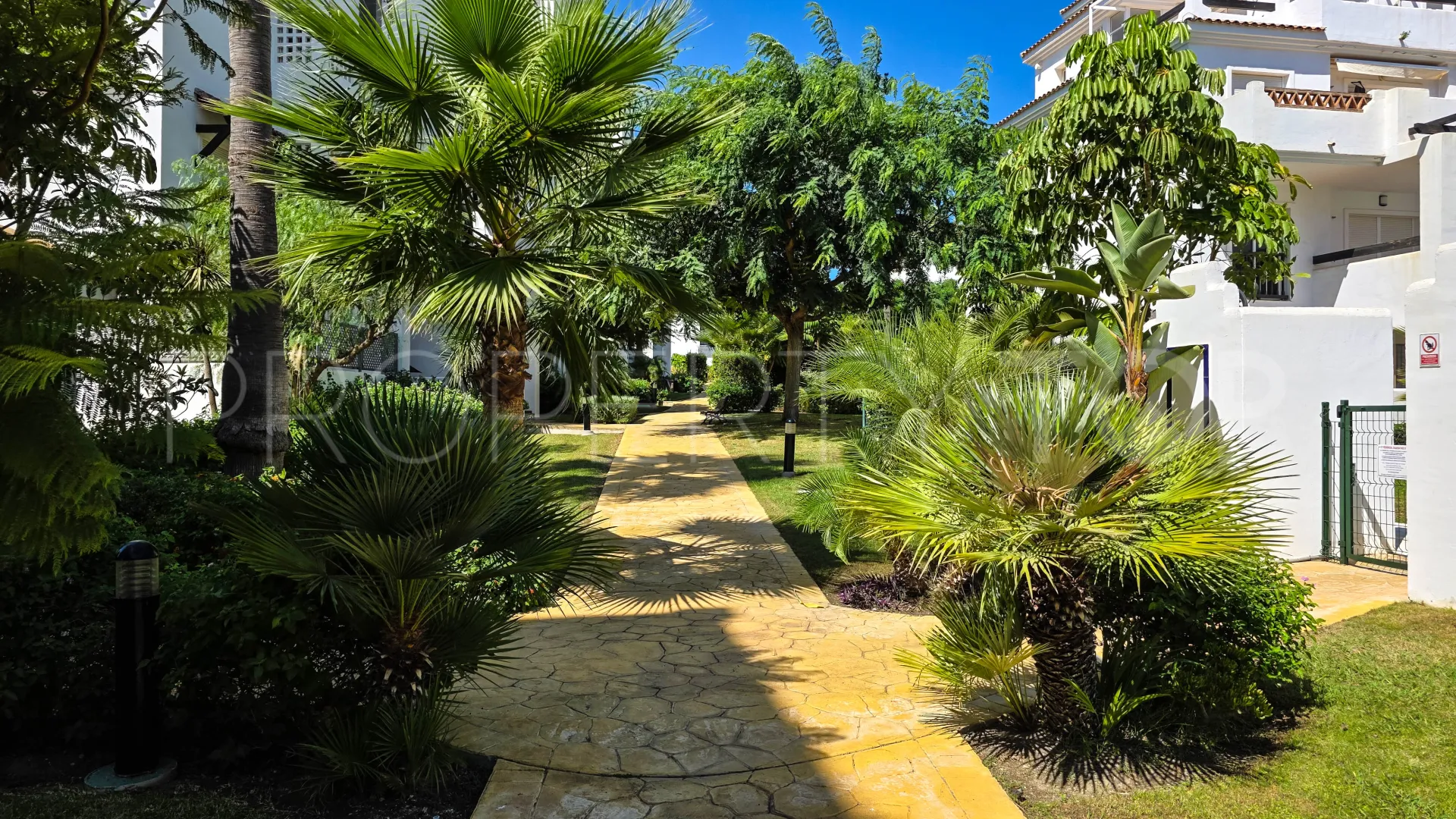 Buy penthouse with 2 bedrooms in Sabinillas