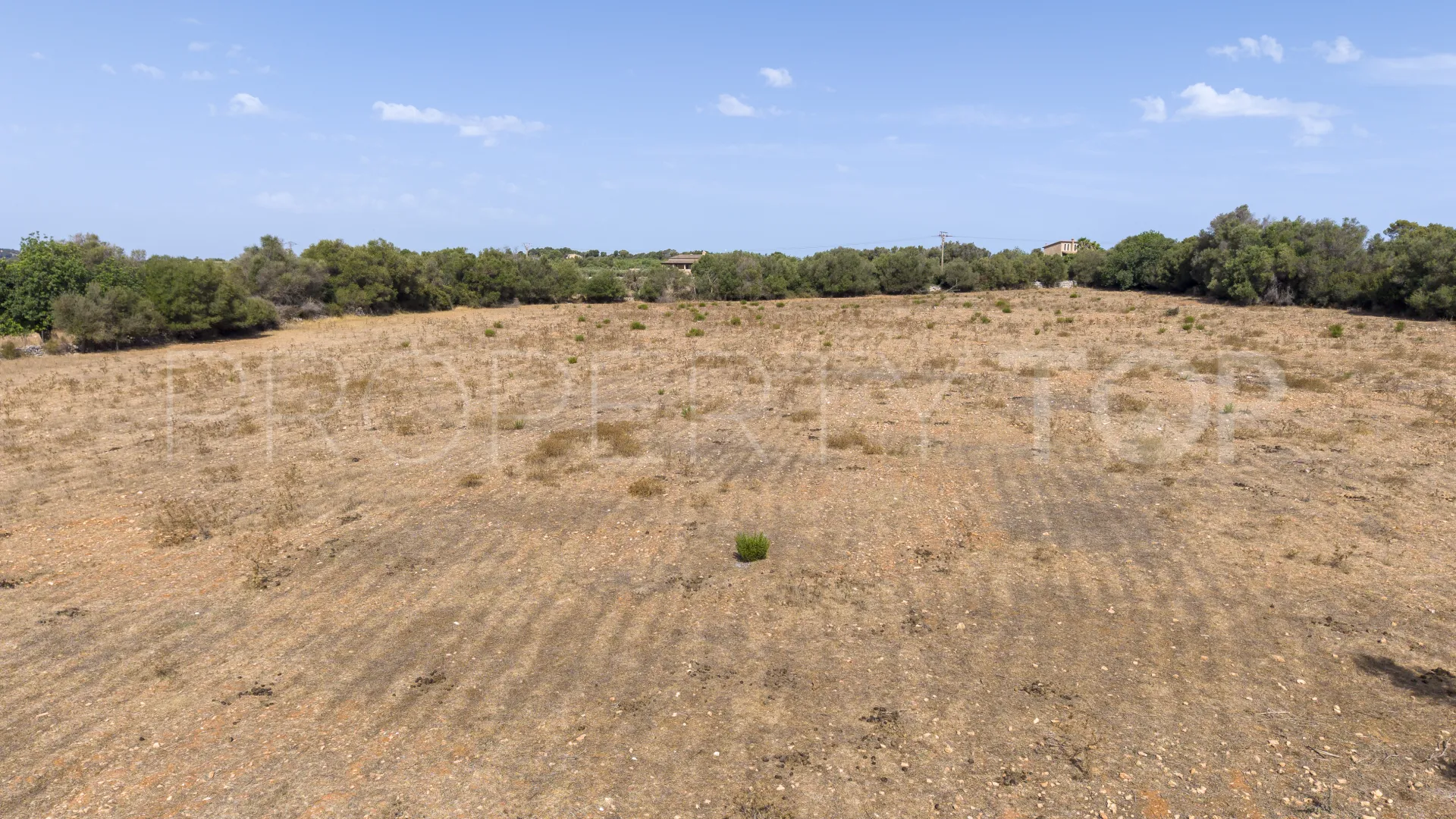 Se vende finca en Manacor con 4 dormitorios