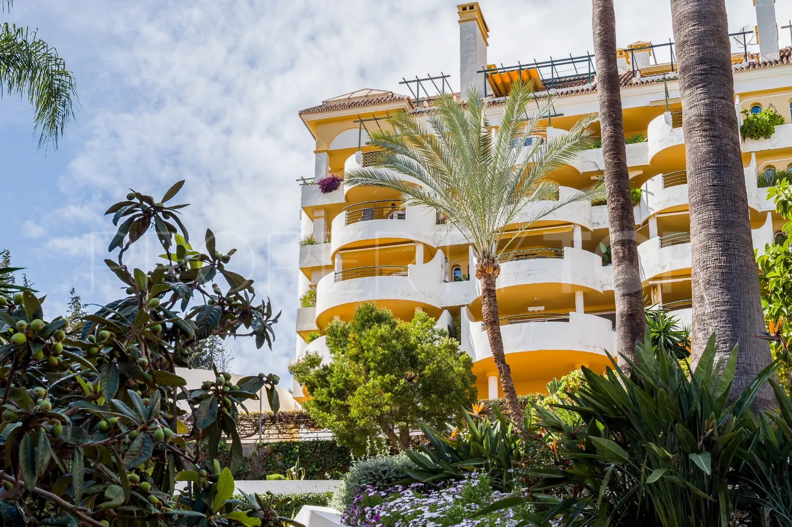 Comprar duplex planta baja de 3 dormitorios en Señorio de Aloha