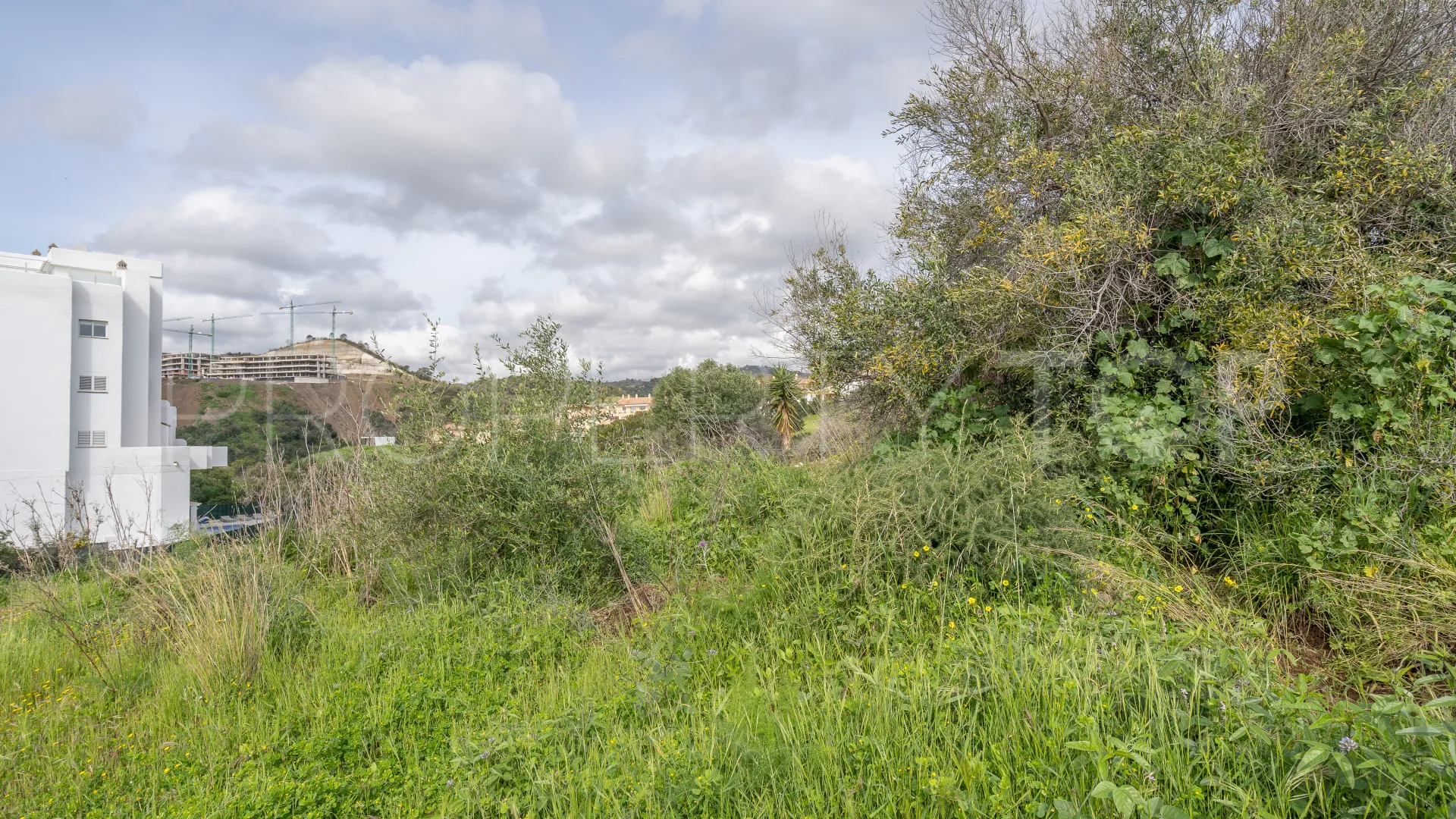 Plot in La Resina Golf for sale
