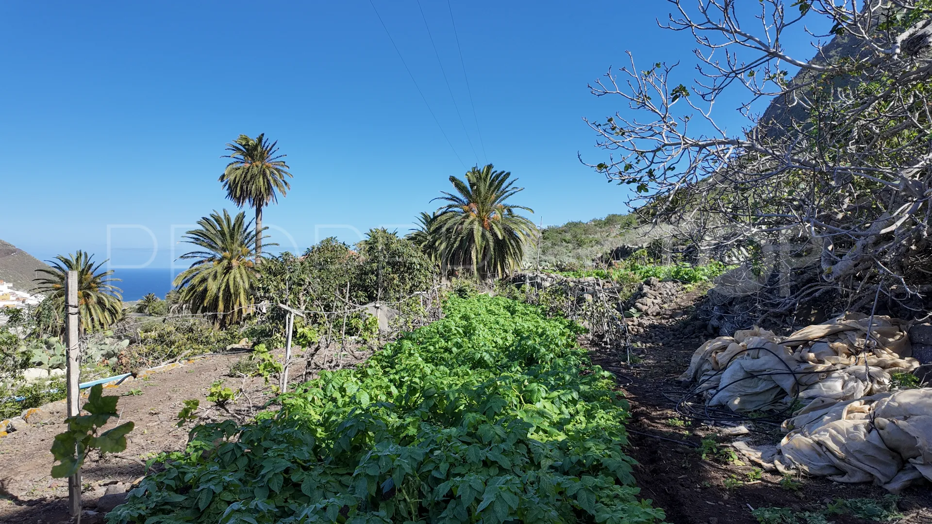 Casa en venta en Buenavista del Norte con 3 dormitorios