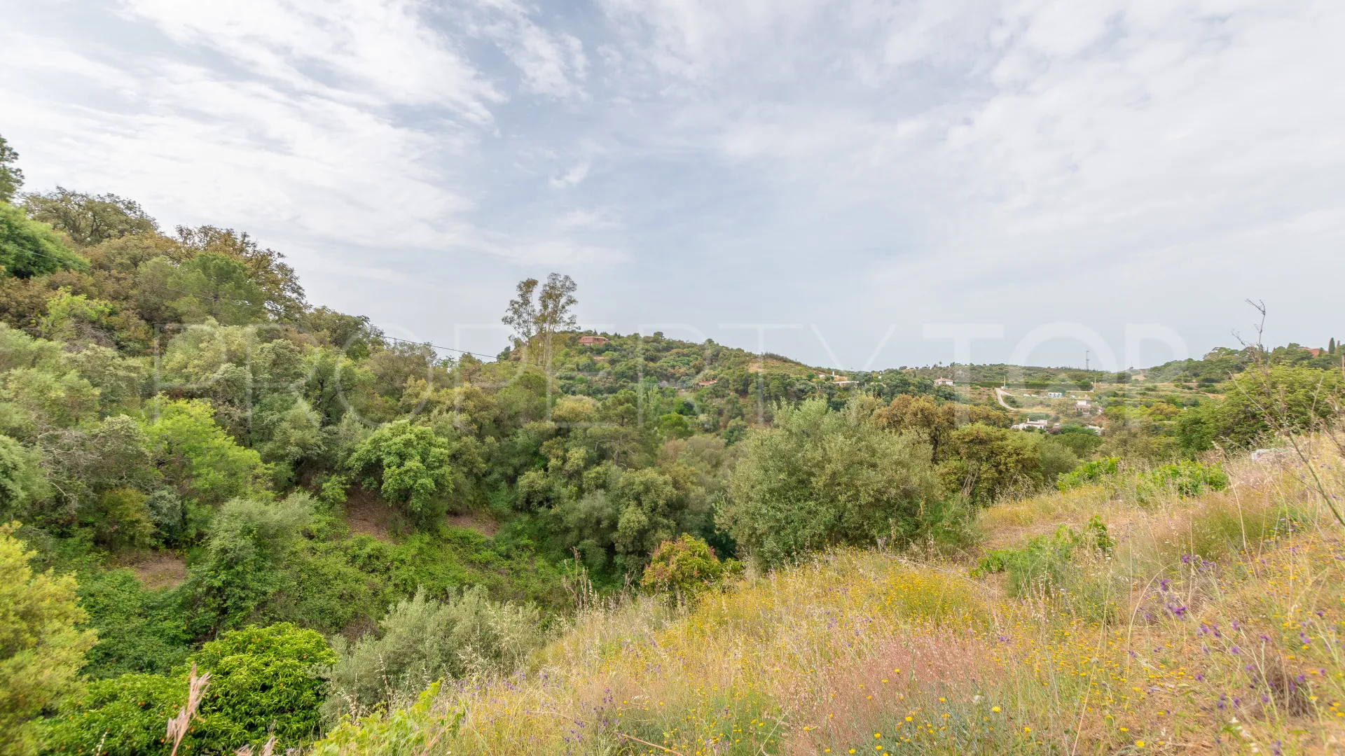 For sale El Velerin plot