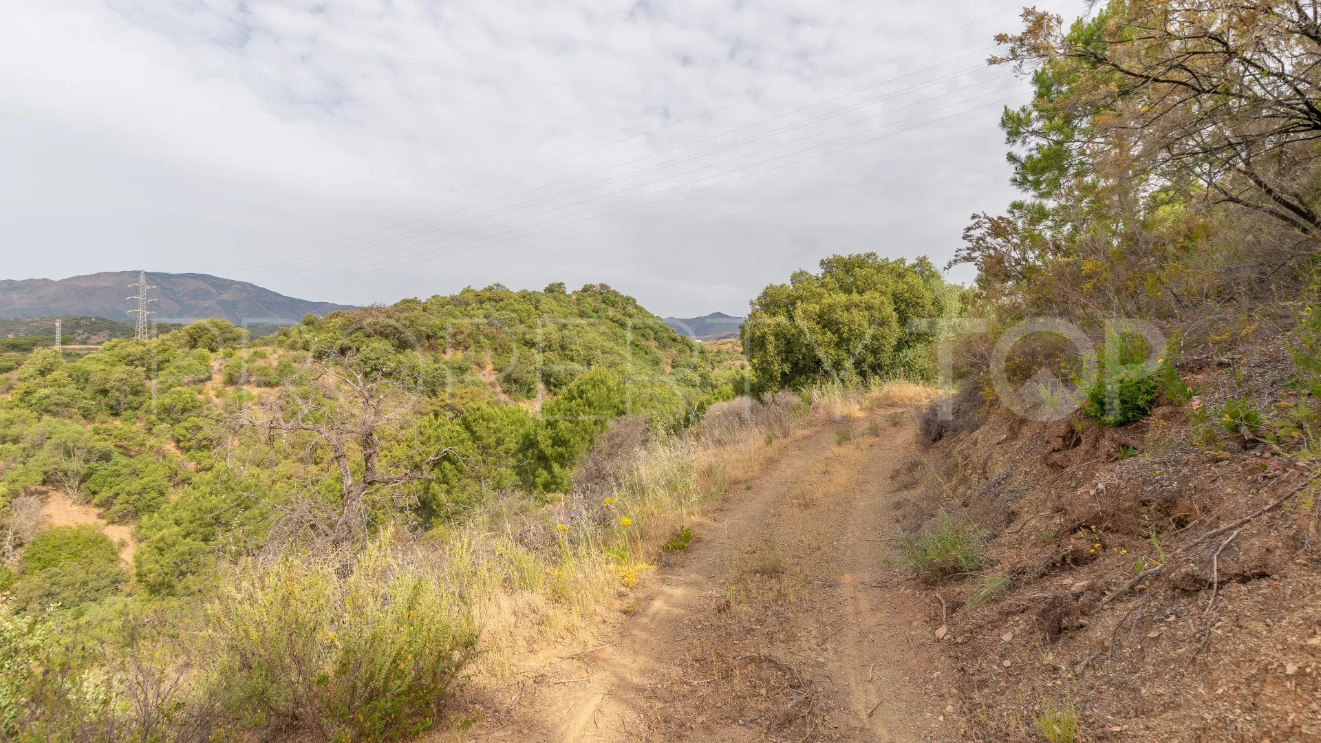For sale El Velerin plot