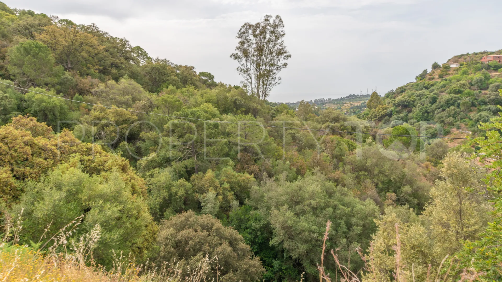 For sale El Velerin plot